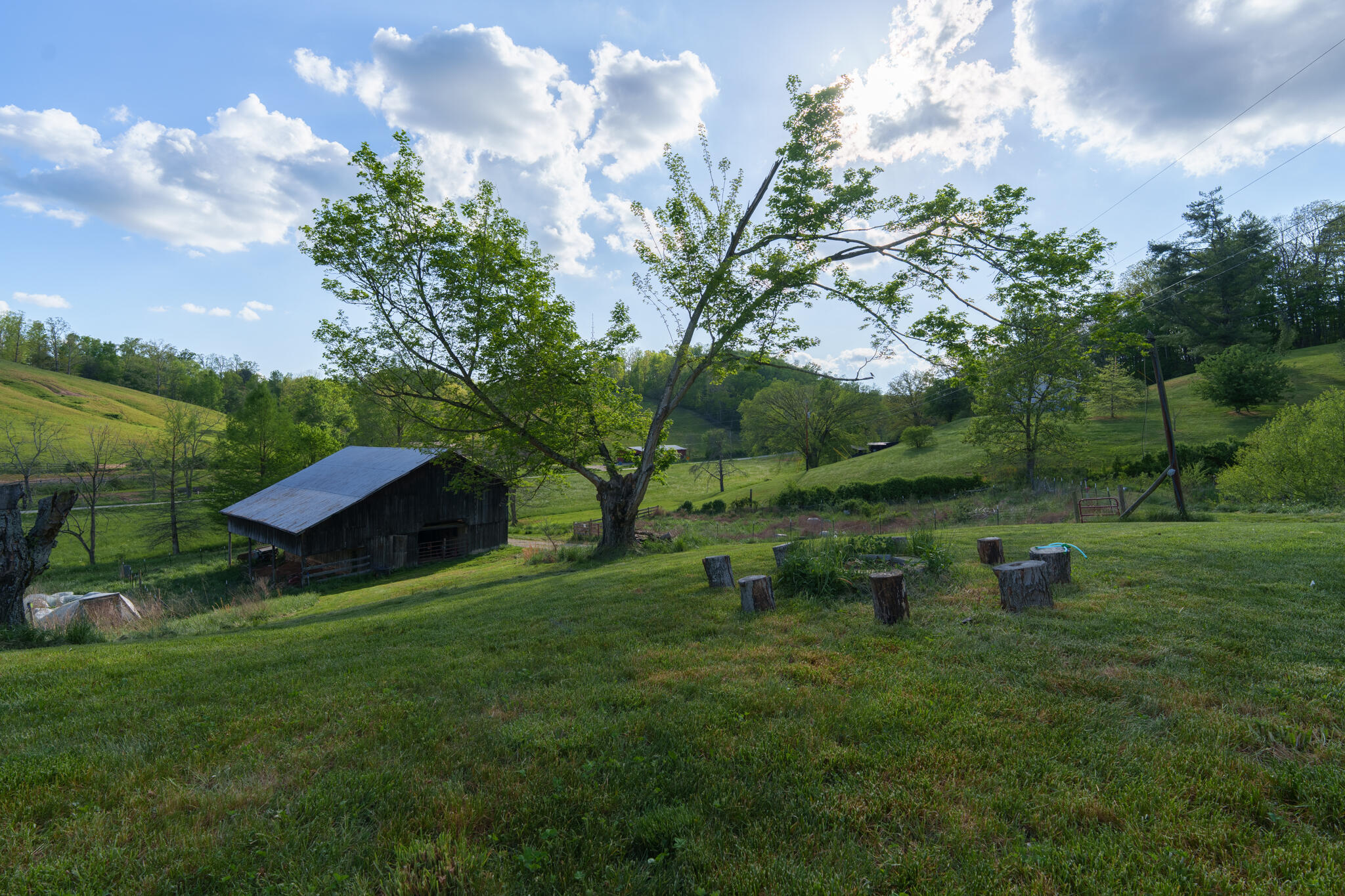 8228 Highway 705 Property Photo 36