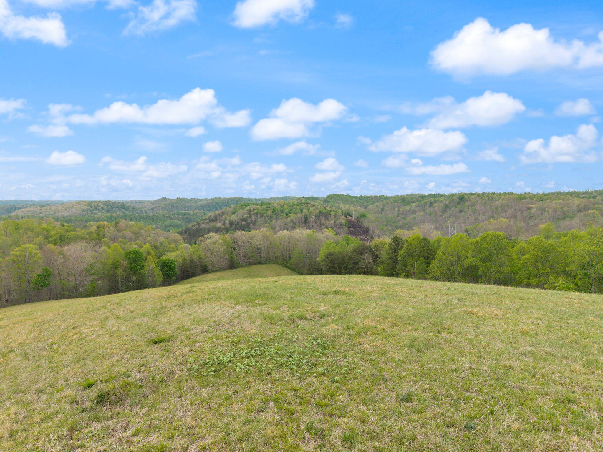 371 Big Branch Road Property Photo 5