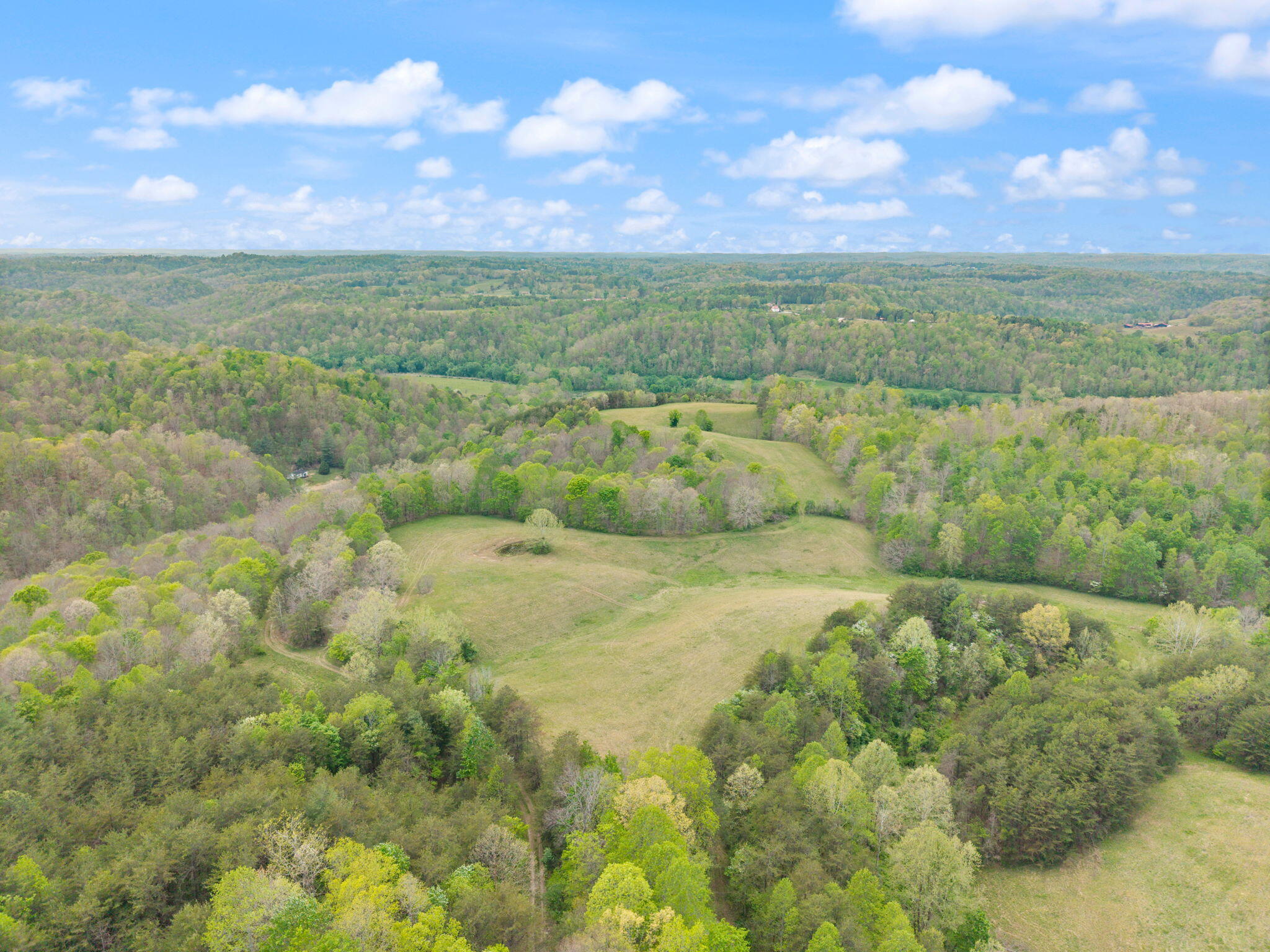 371 Big Branch Road Property Photo 9