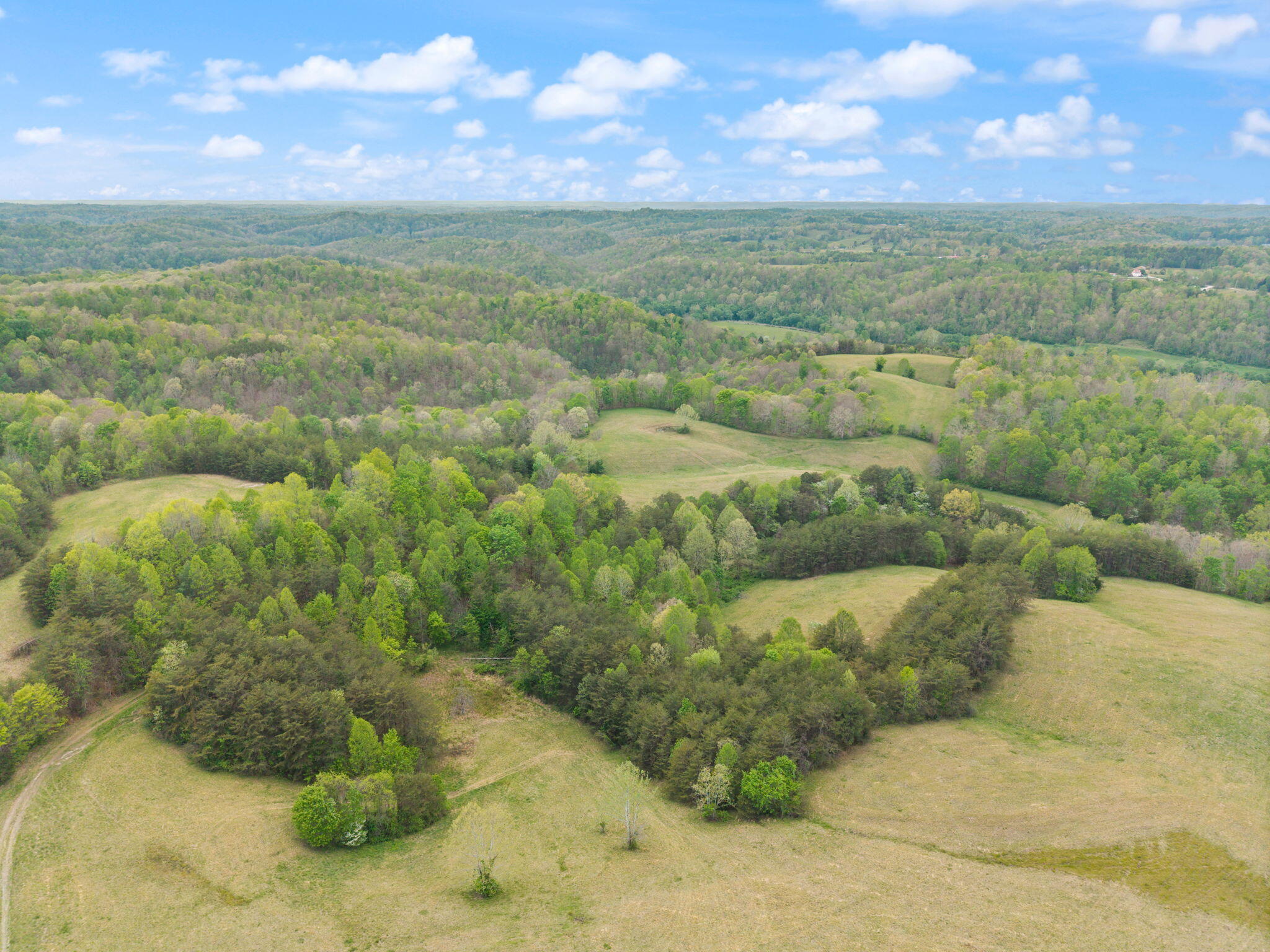 371 Big Branch Road Property Photo 10