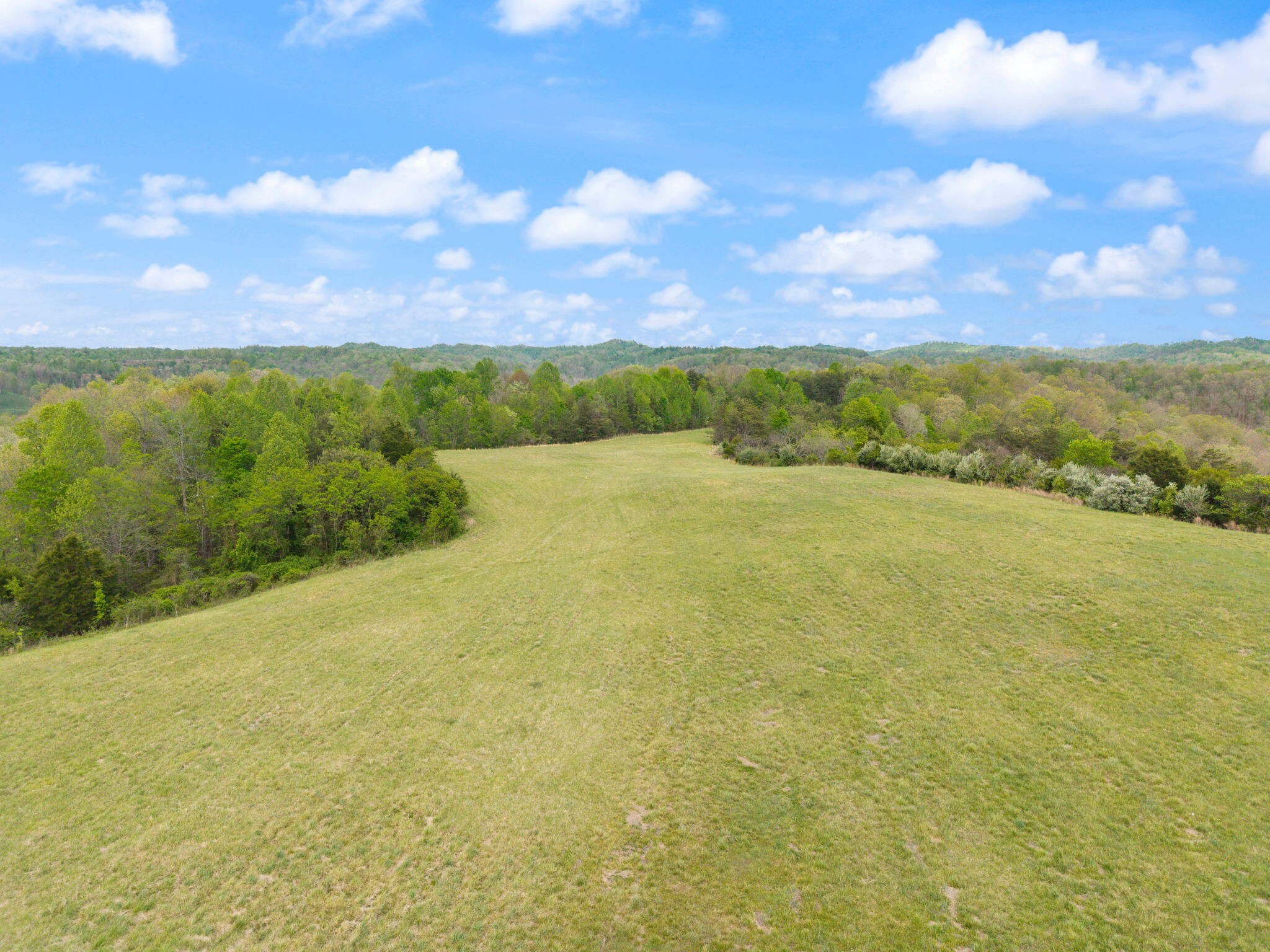 371 Big Branch Road Property Photo 14