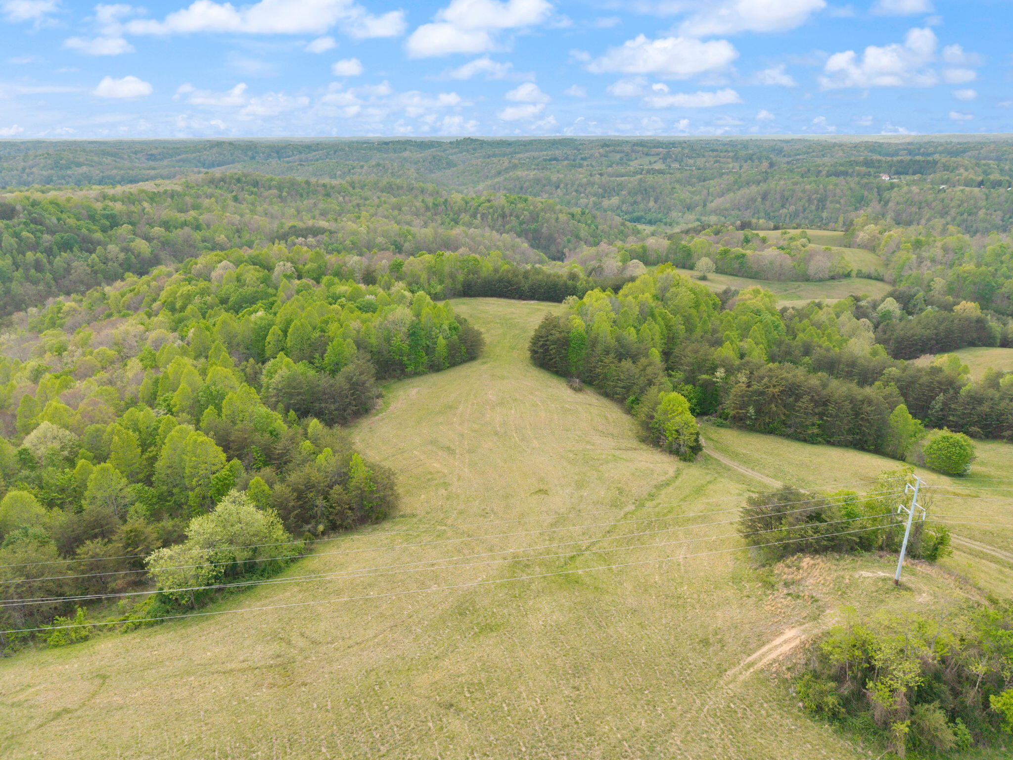 371 Big Branch Road Property Photo 19