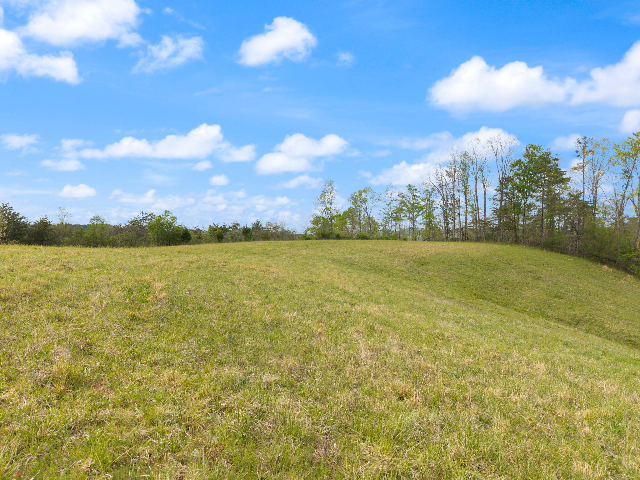 371 Big Branch Road Property Photo 25