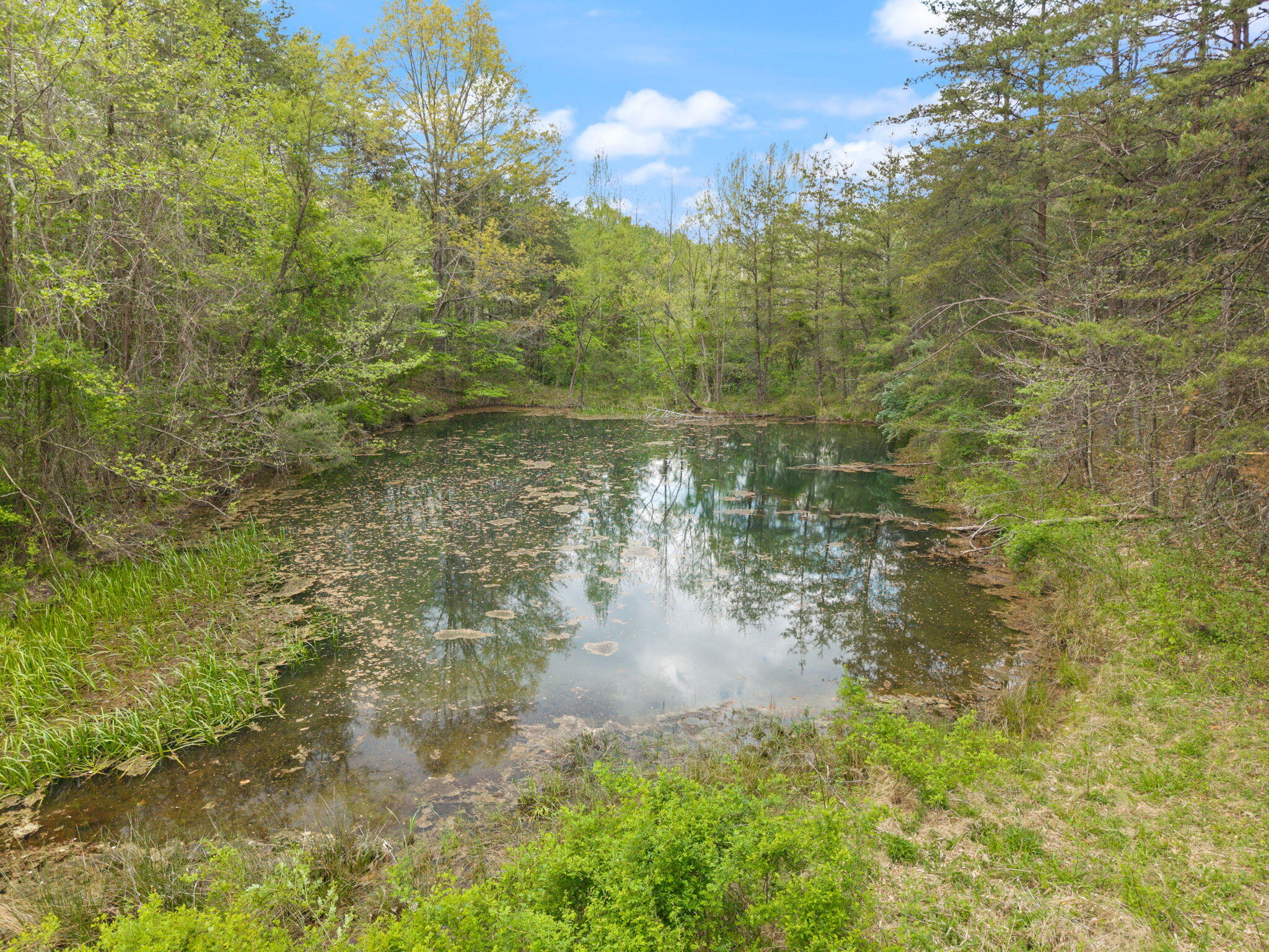 371 Big Branch Road Property Photo 31