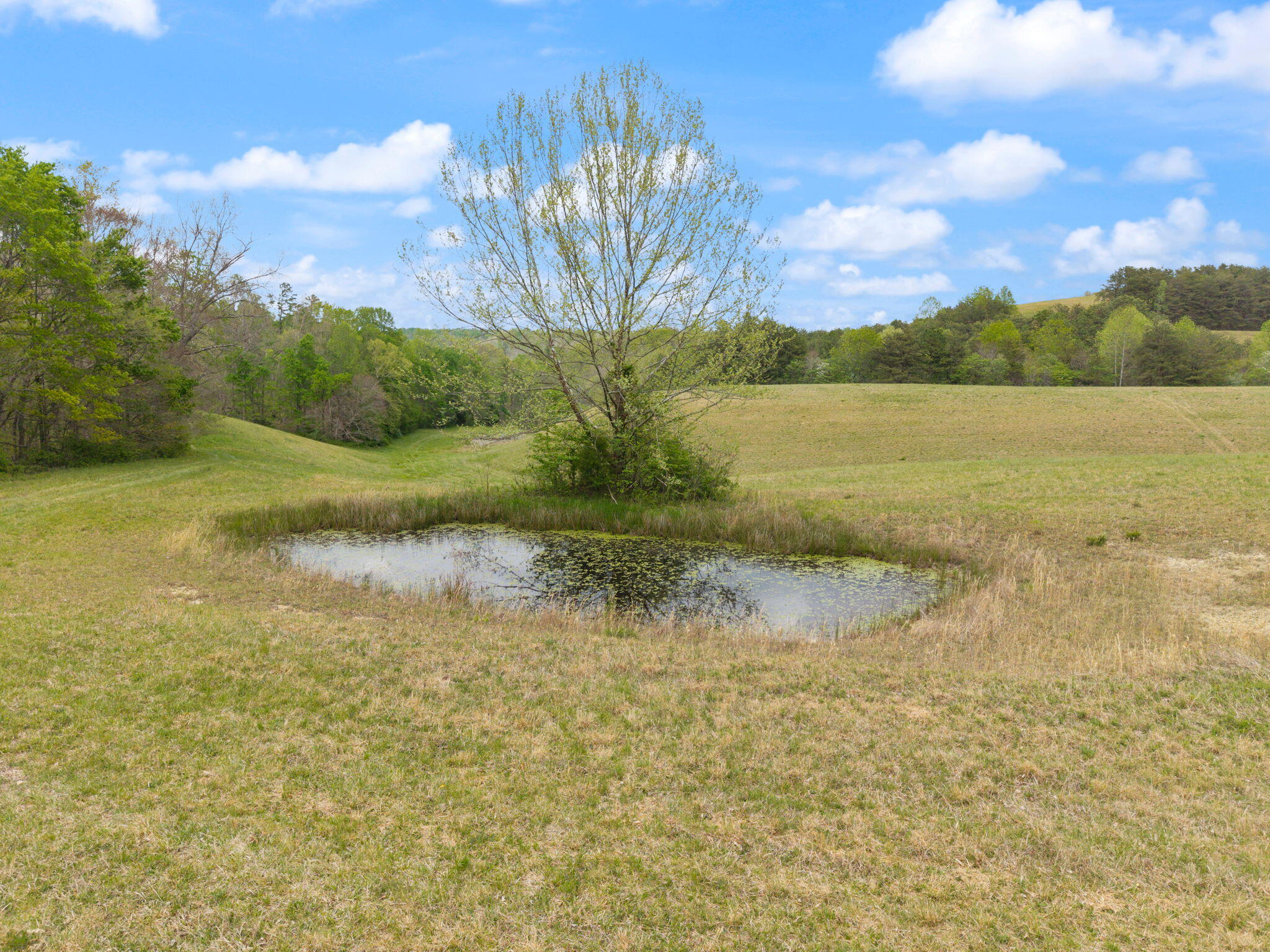 371 Big Branch Road Property Photo 45