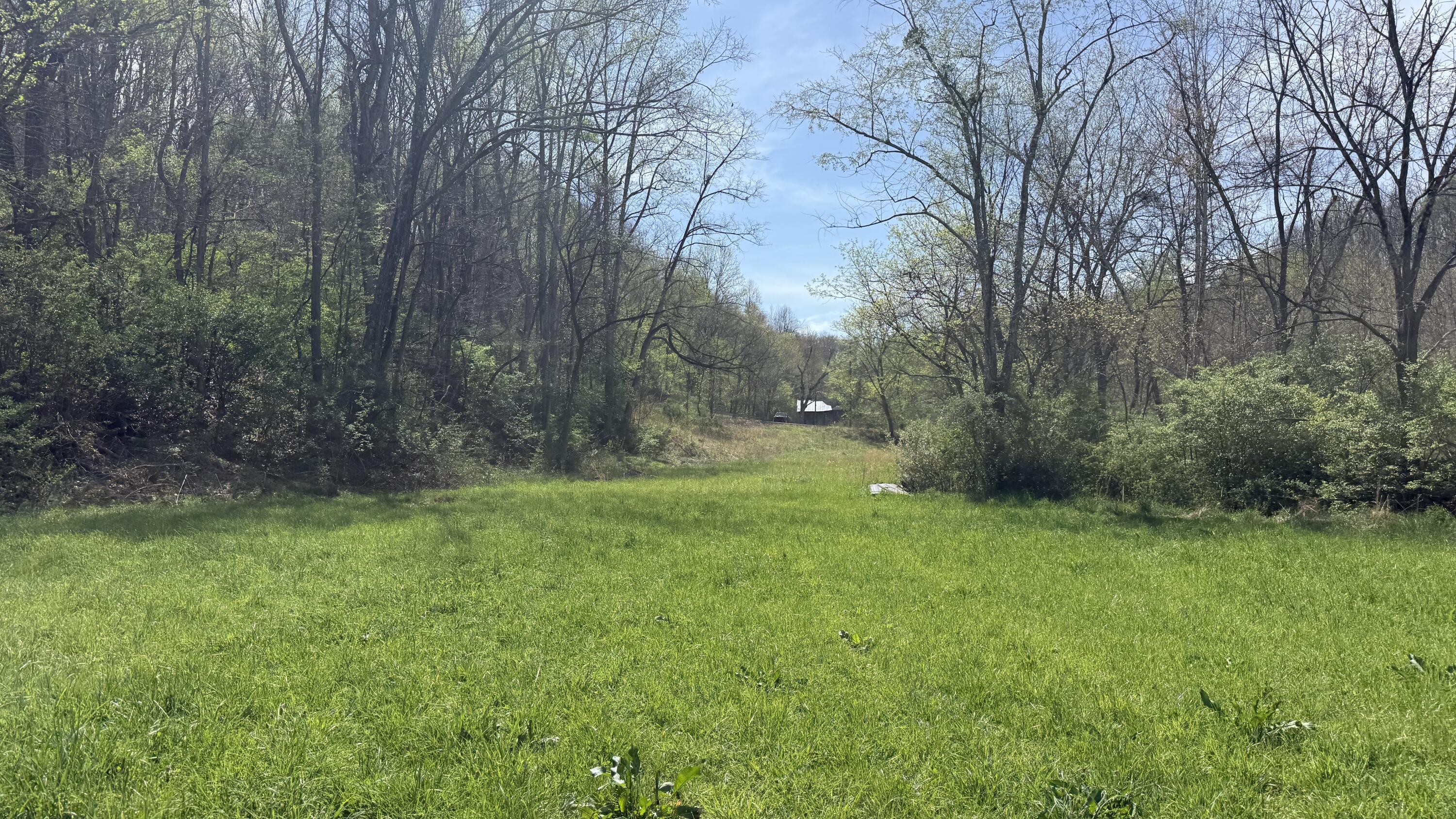 3230 Scaffold Cane Road Property Photo 4