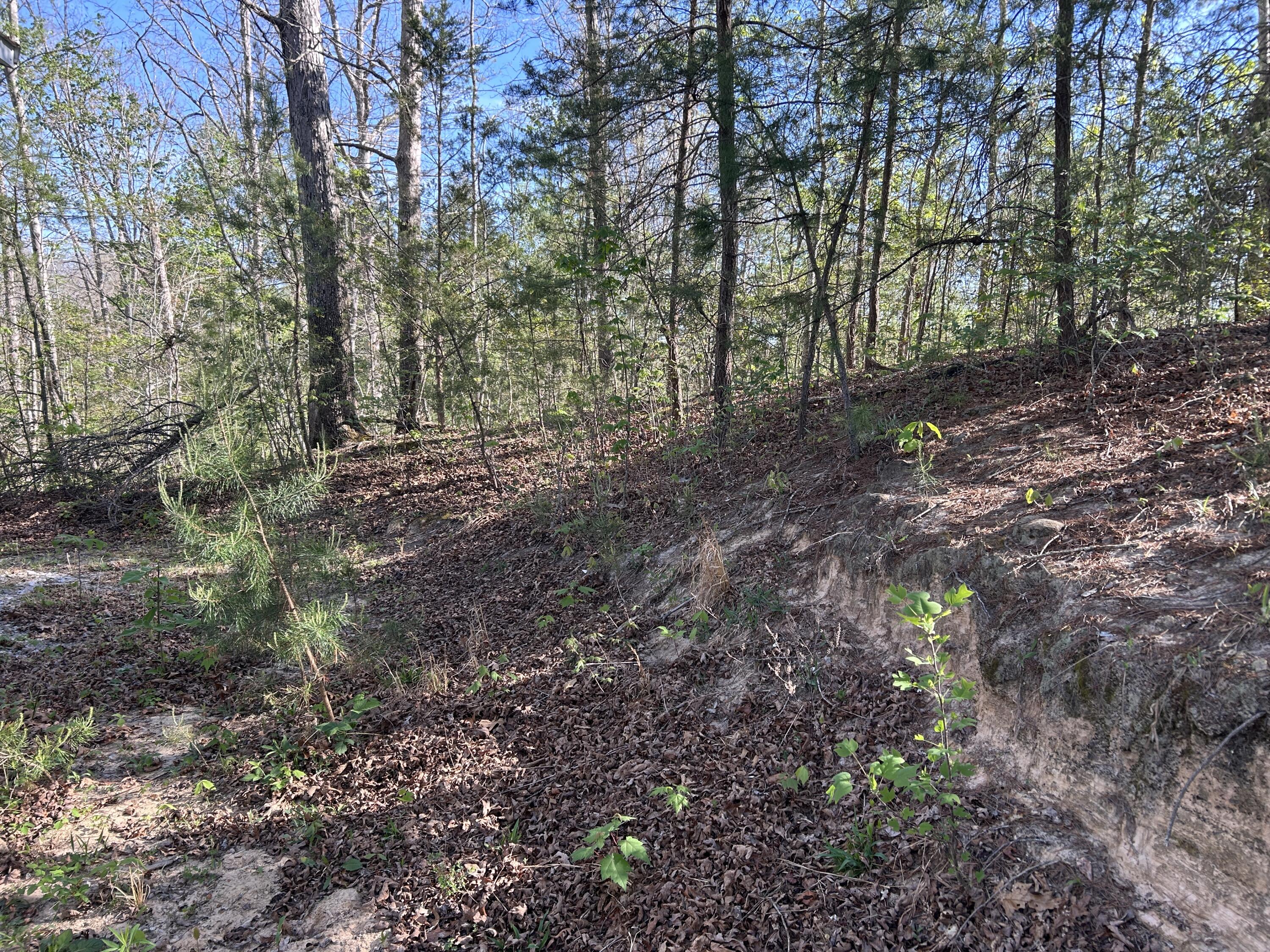 0000 Hawk Ridge Road Property Photo 11