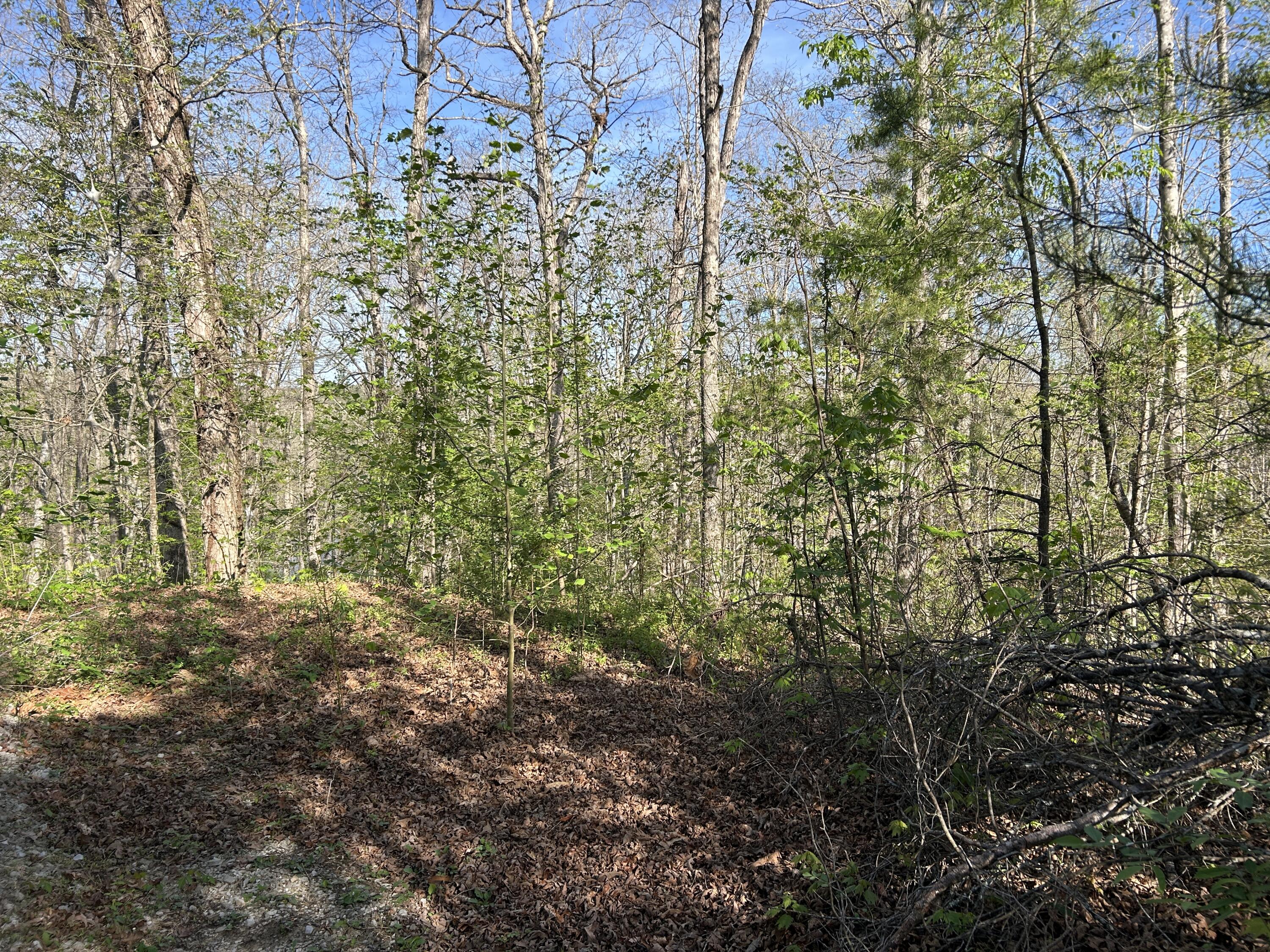 0000 Hawk Ridge Road Property Photo 12