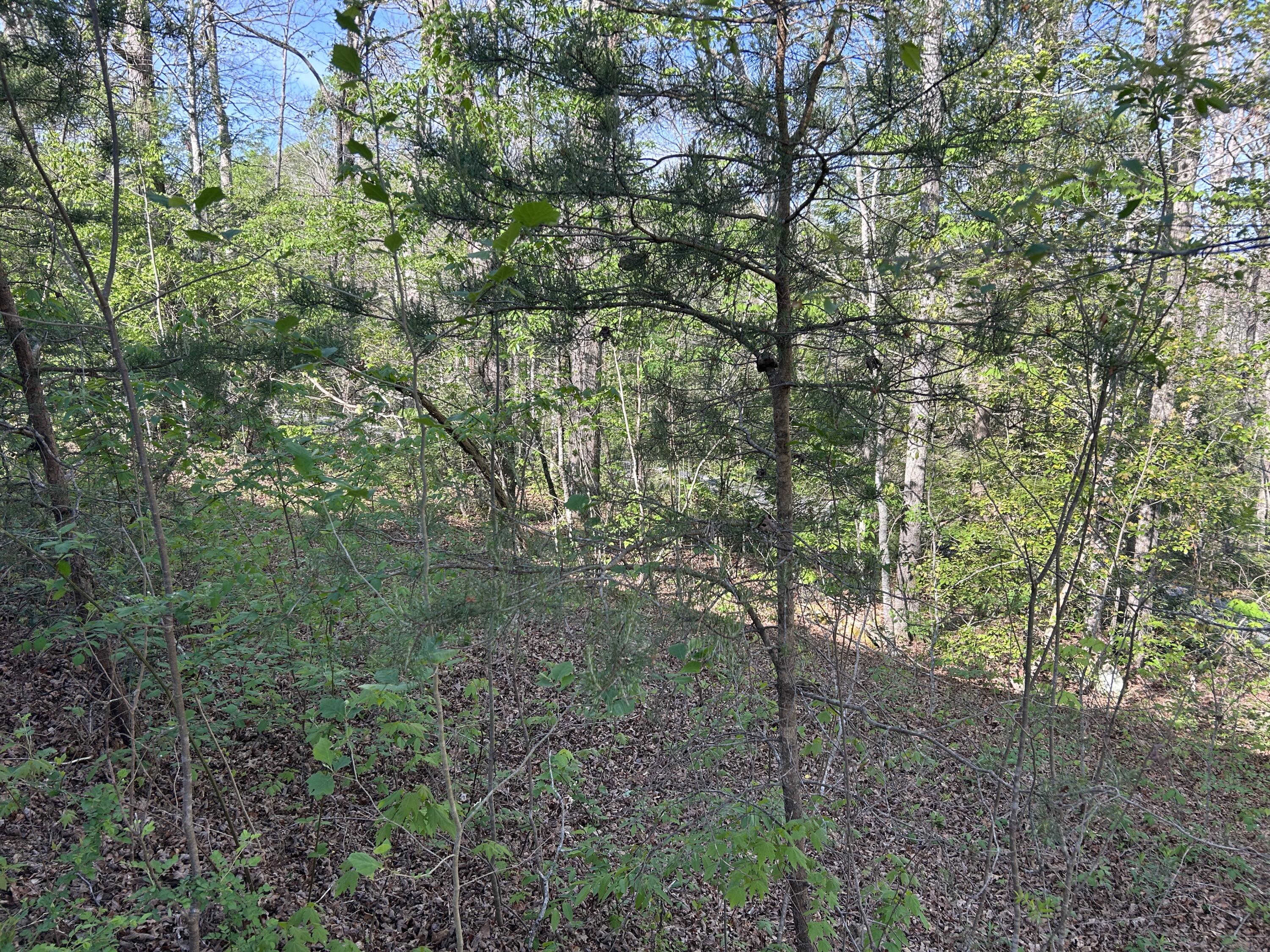 0000 Hawk Ridge Road Property Photo 14