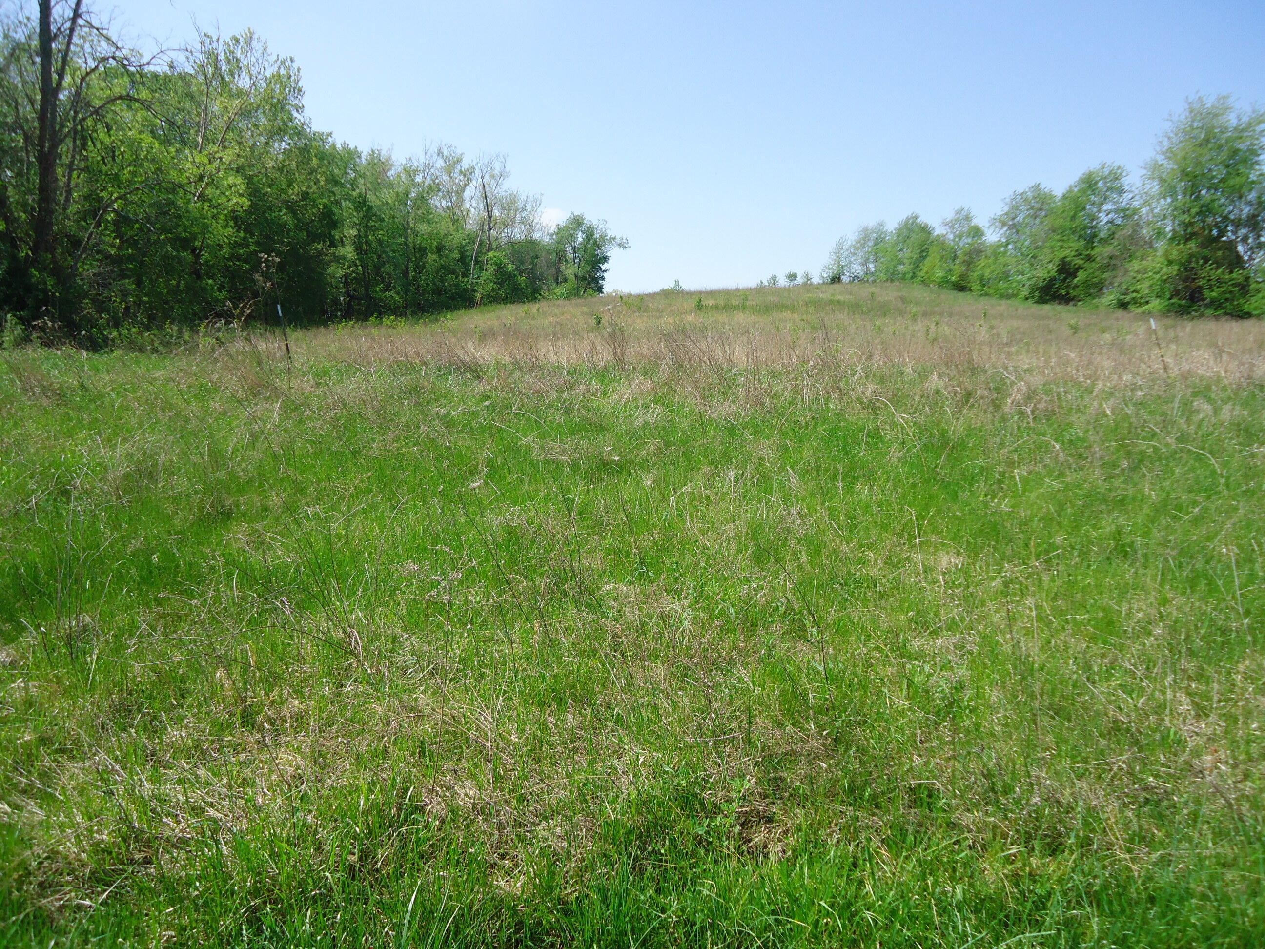 17a William Whitley Road Property Photo 1