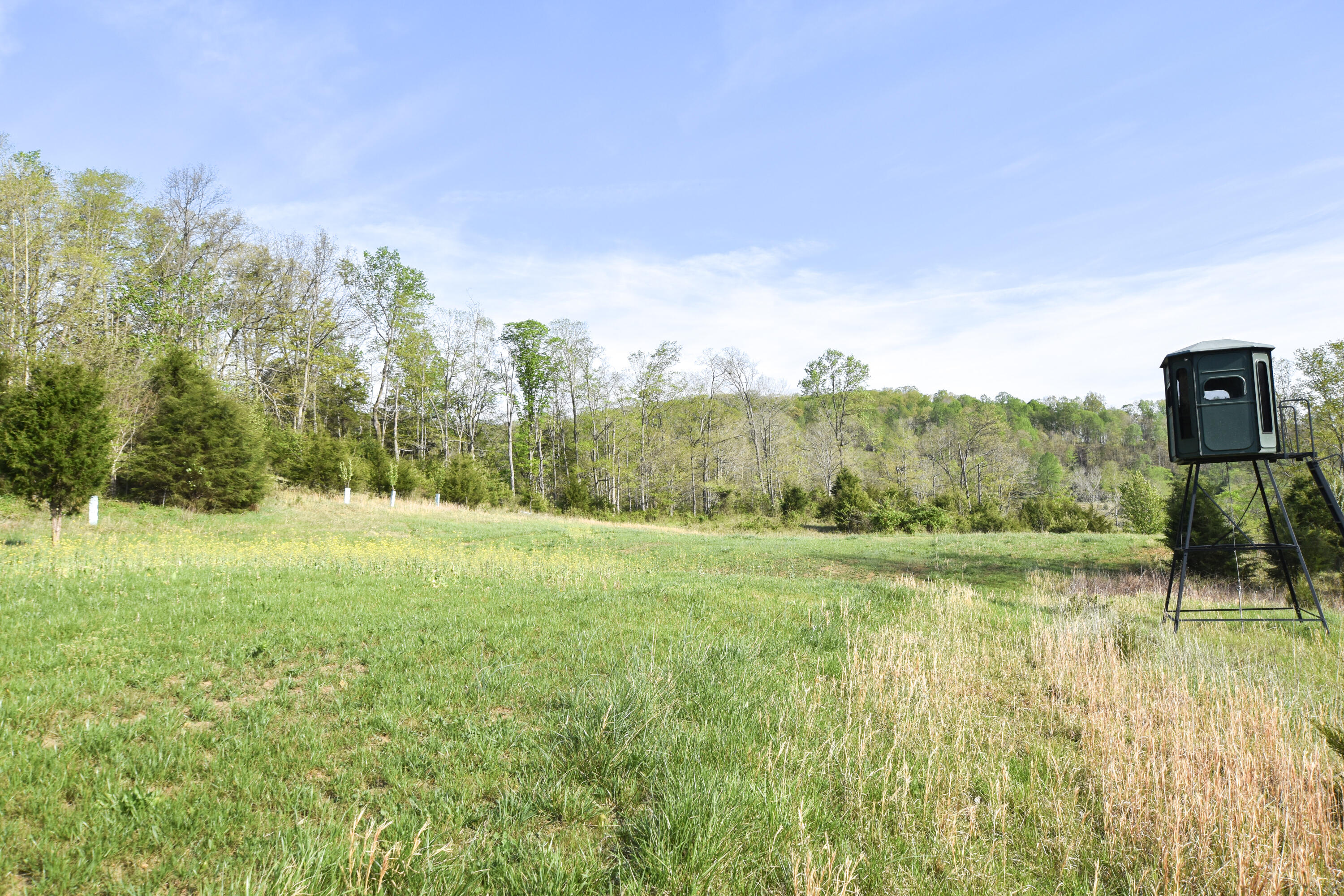 0 Pool Branch Property Photo 25