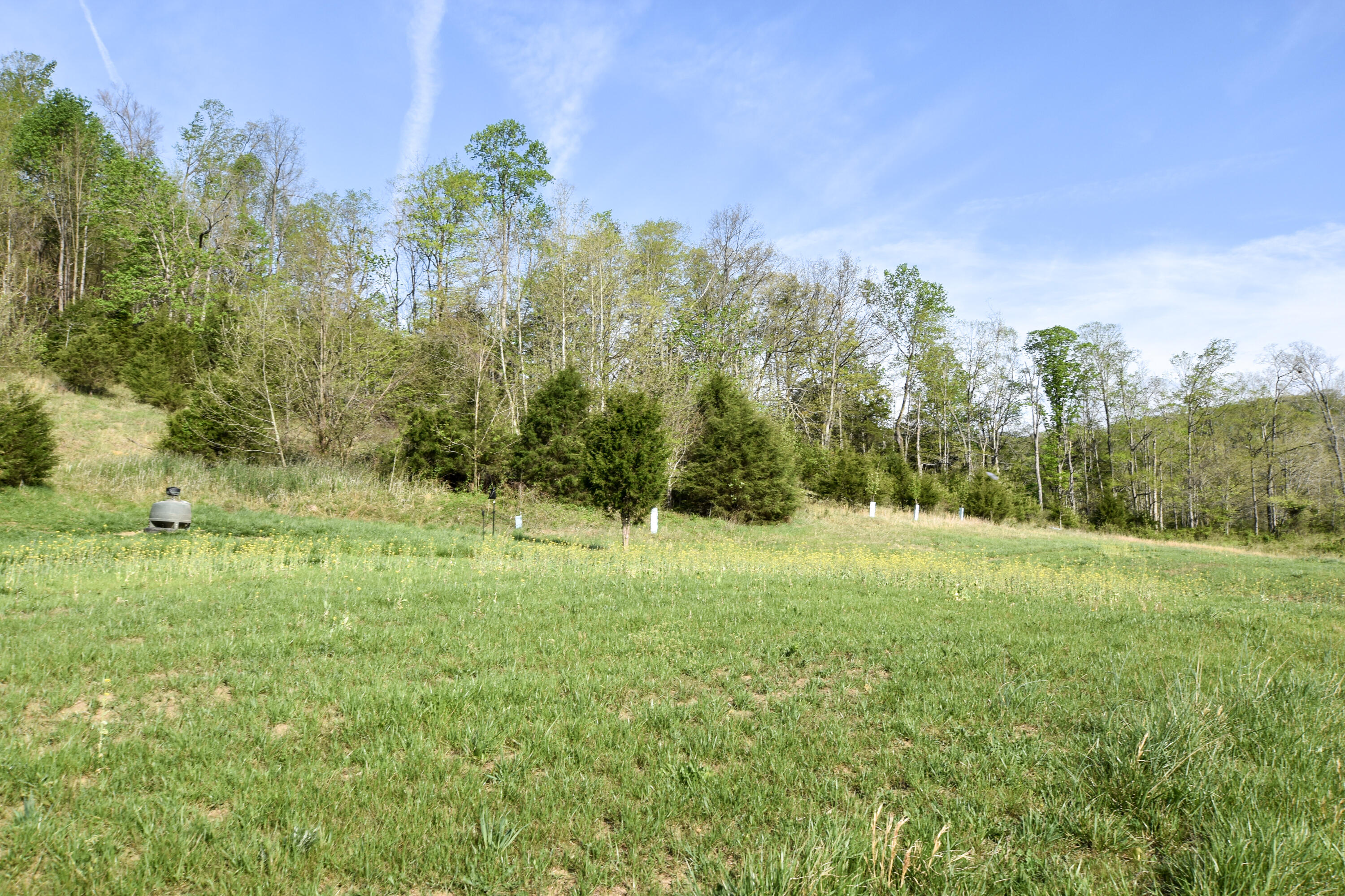 0 Pool Branch Property Photo 26