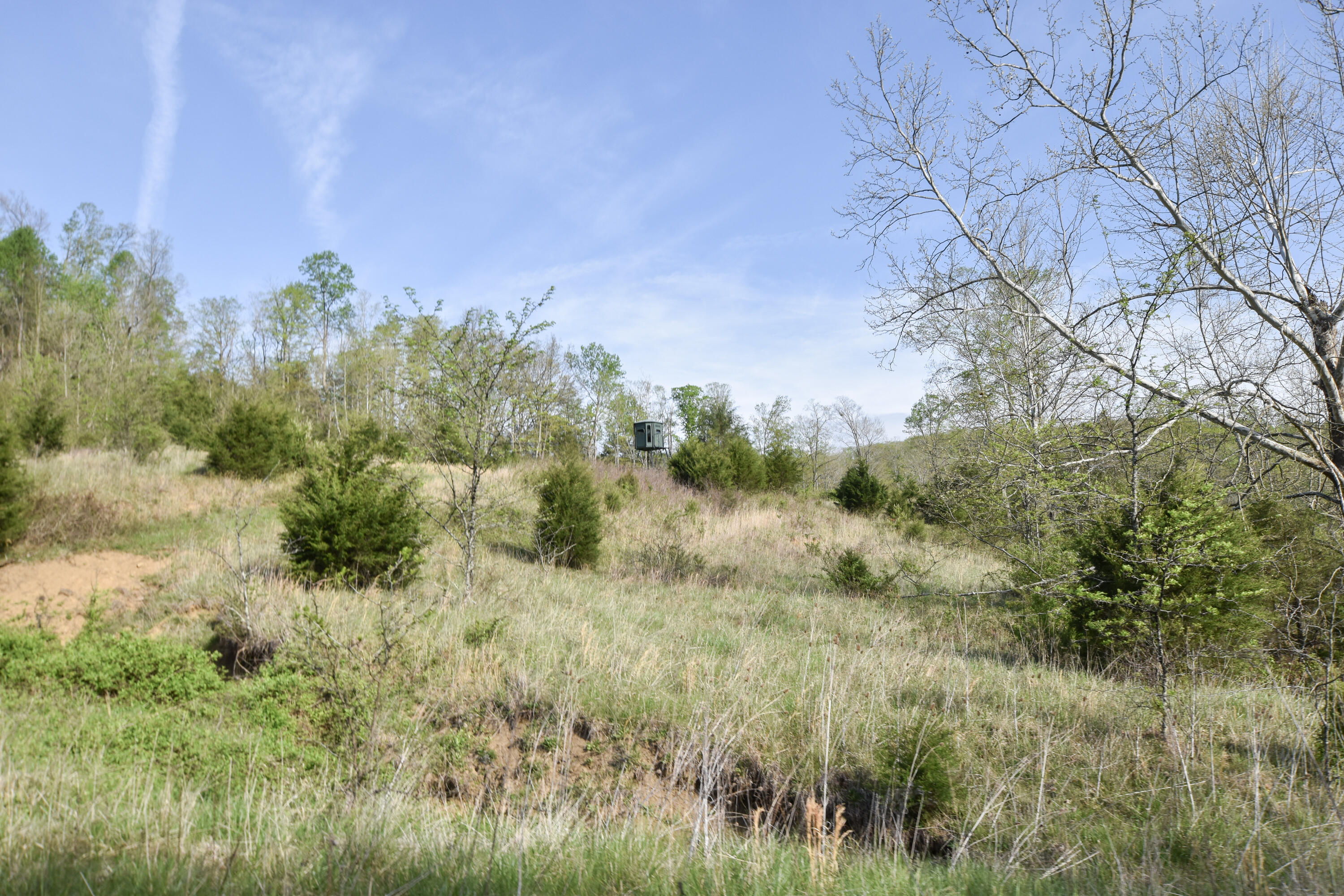 0 Pool Branch Property Photo 27