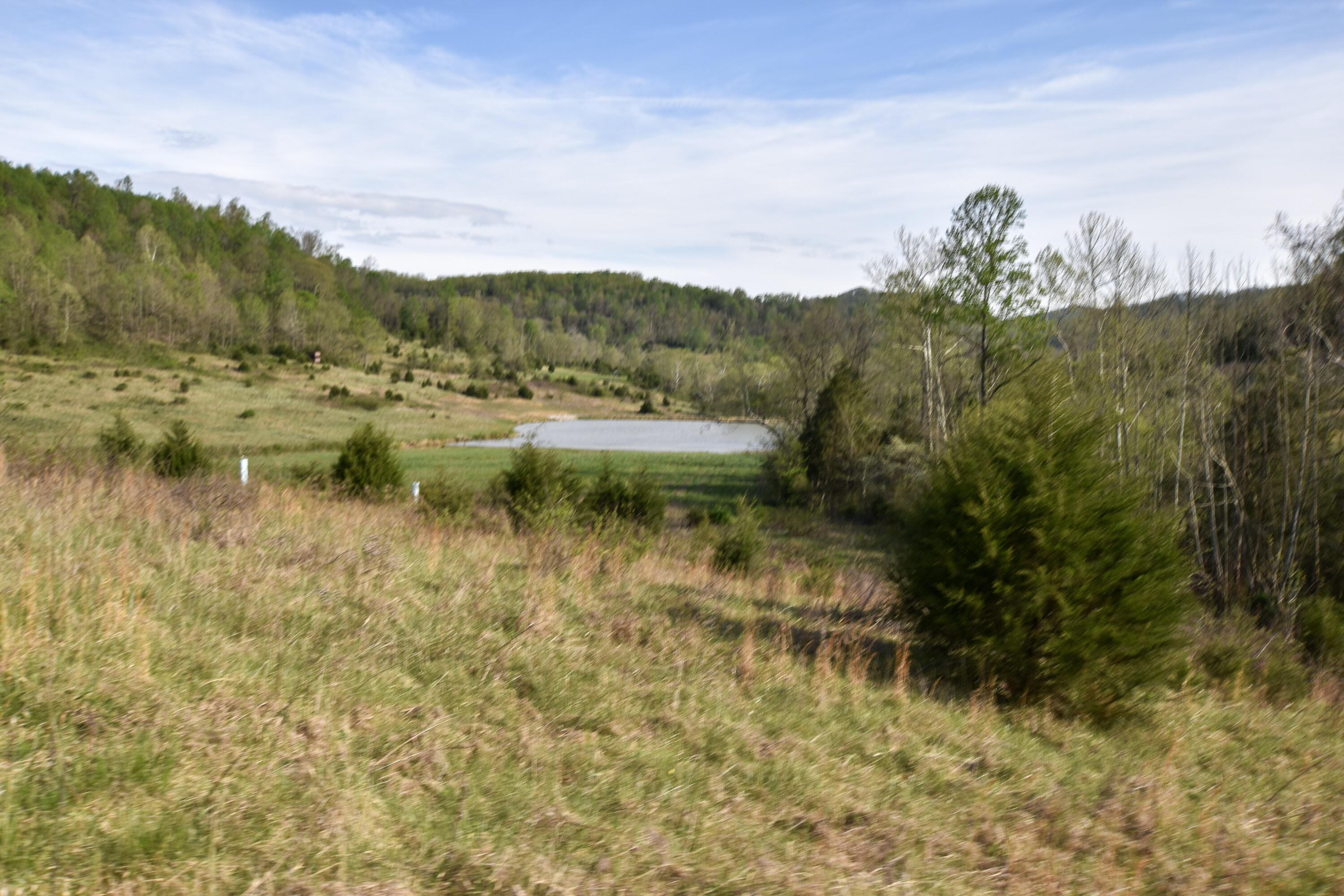 0 Pool Branch Property Photo 30