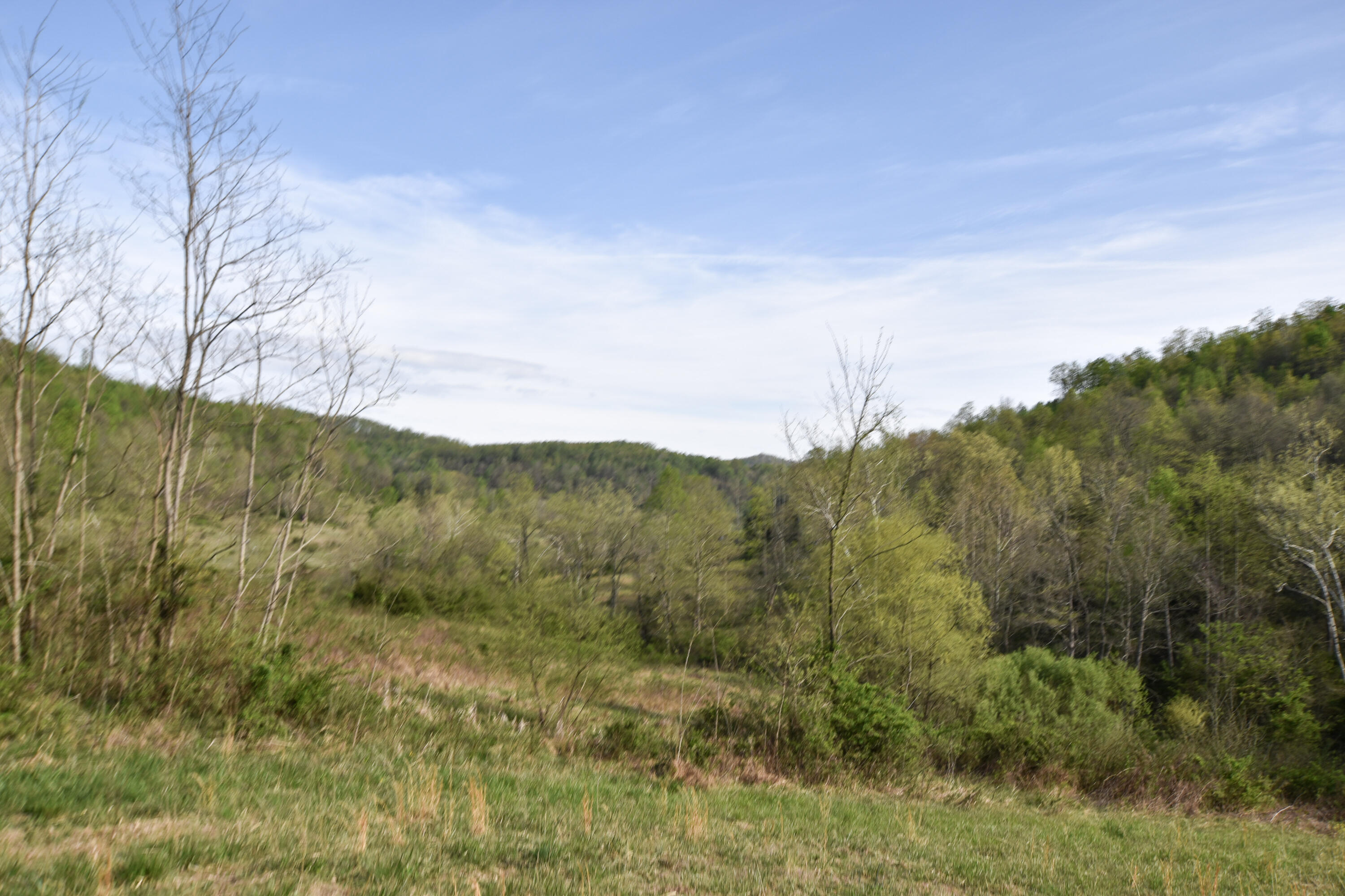 0 Pool Branch Property Photo 32