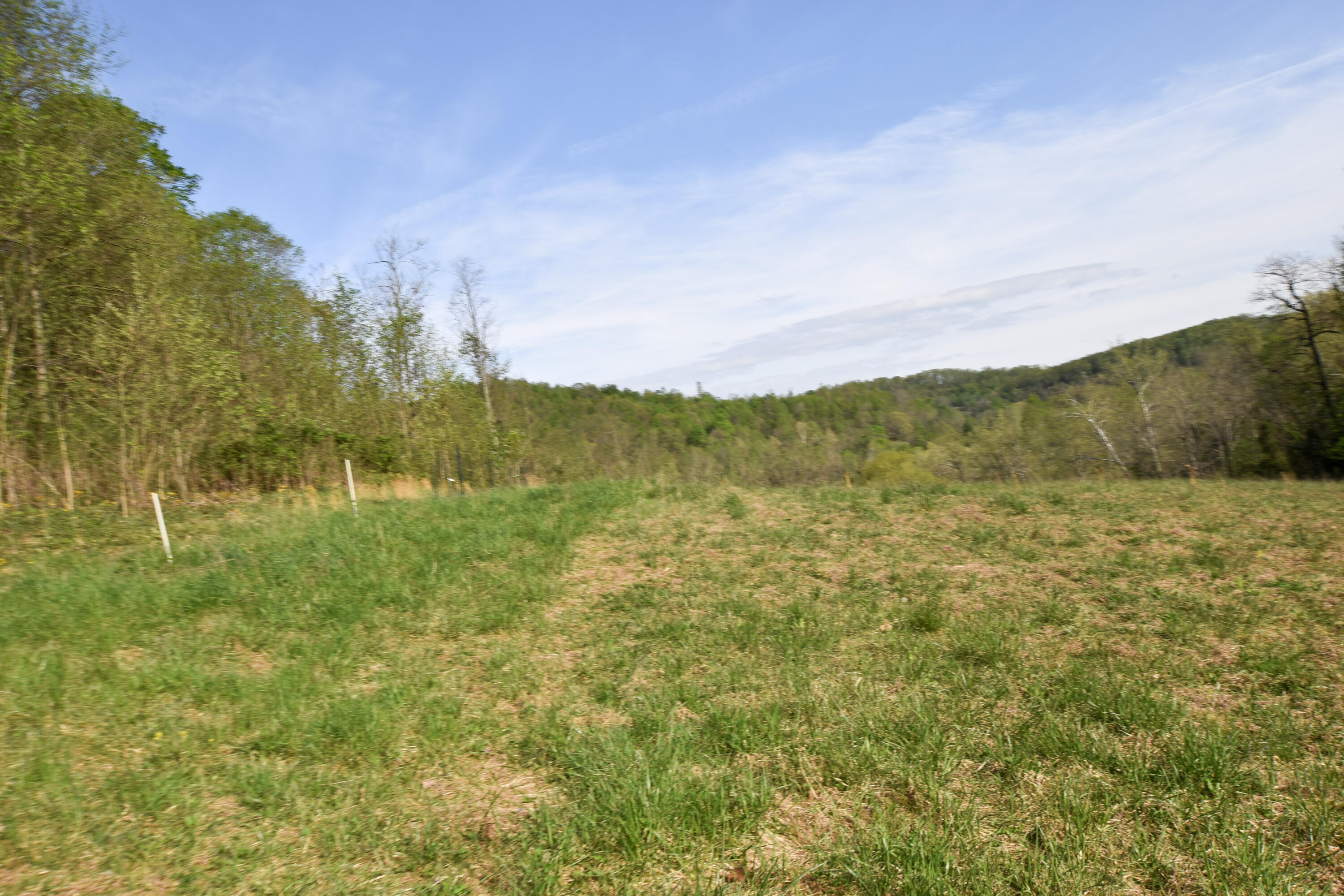 0 Pool Branch Property Photo 33