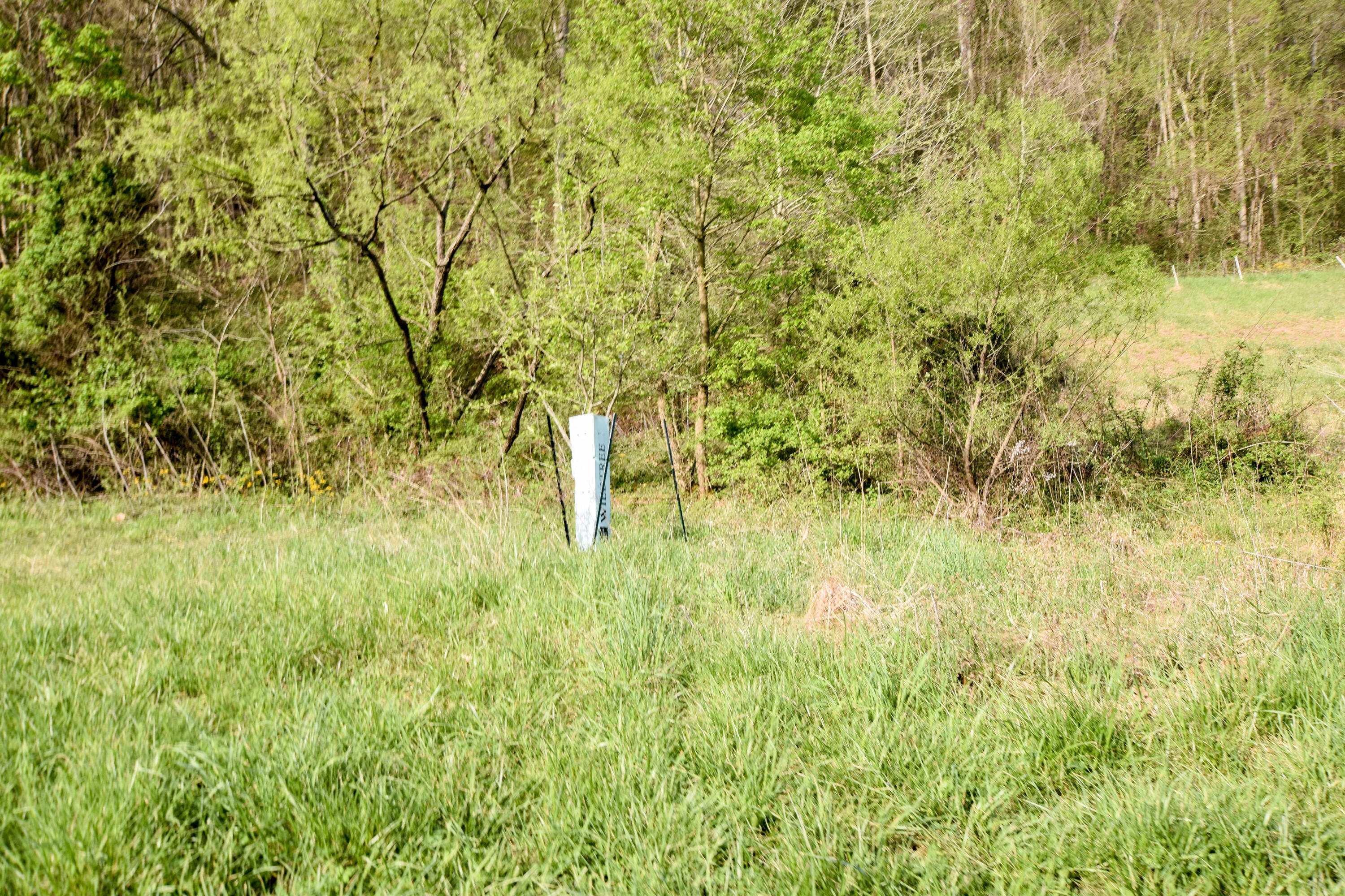 0 Pool Branch Property Photo 36