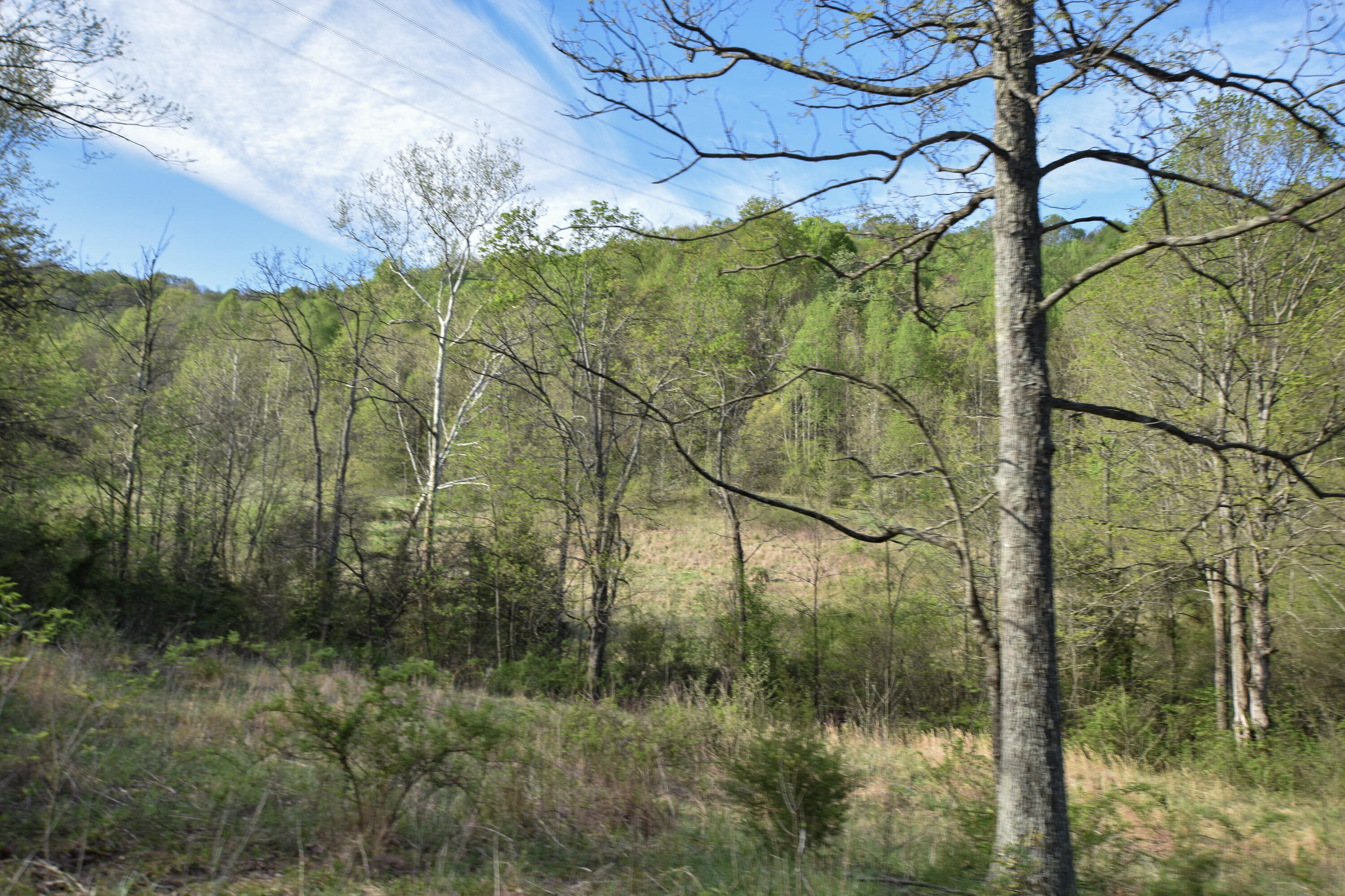 0 Pool Branch Property Photo 37