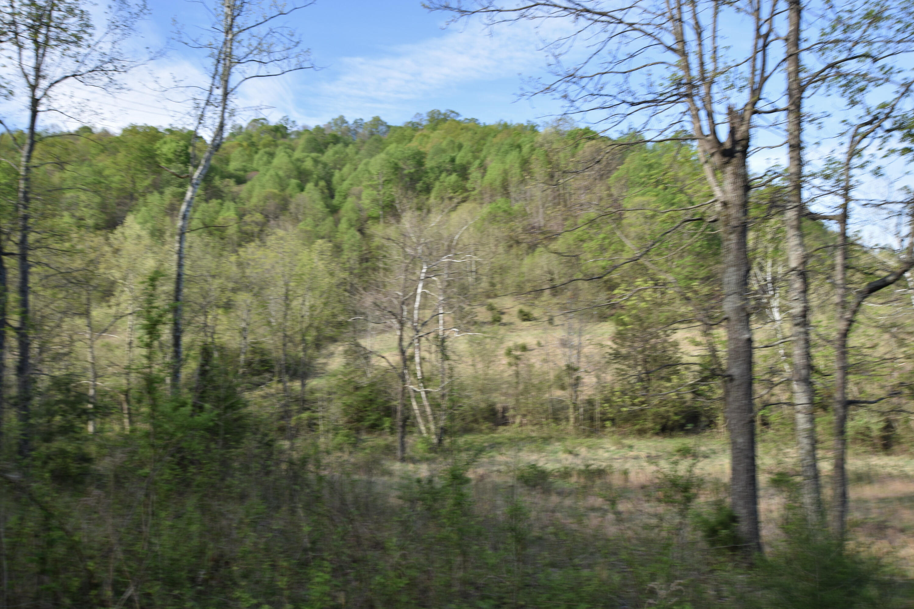 0 Pool Branch Property Photo 38