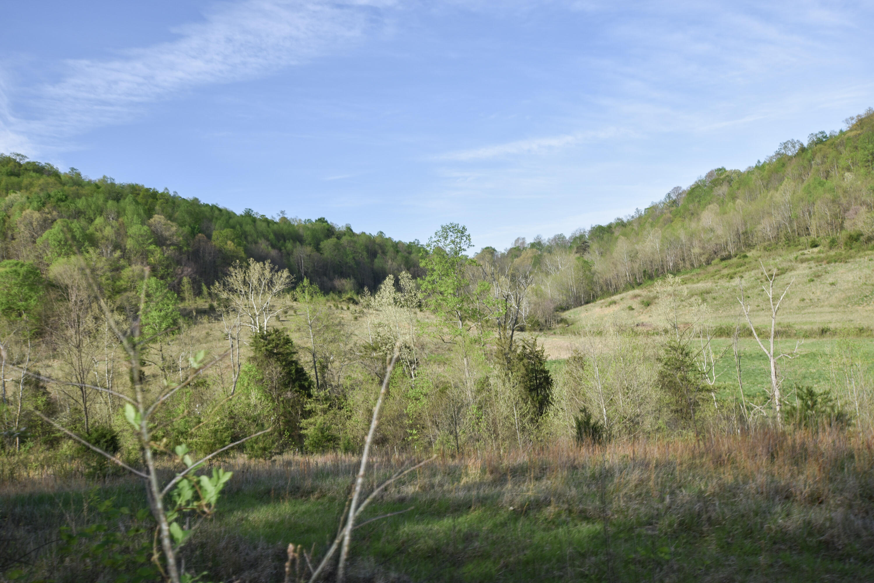 0 Pool Branch Property Photo 39