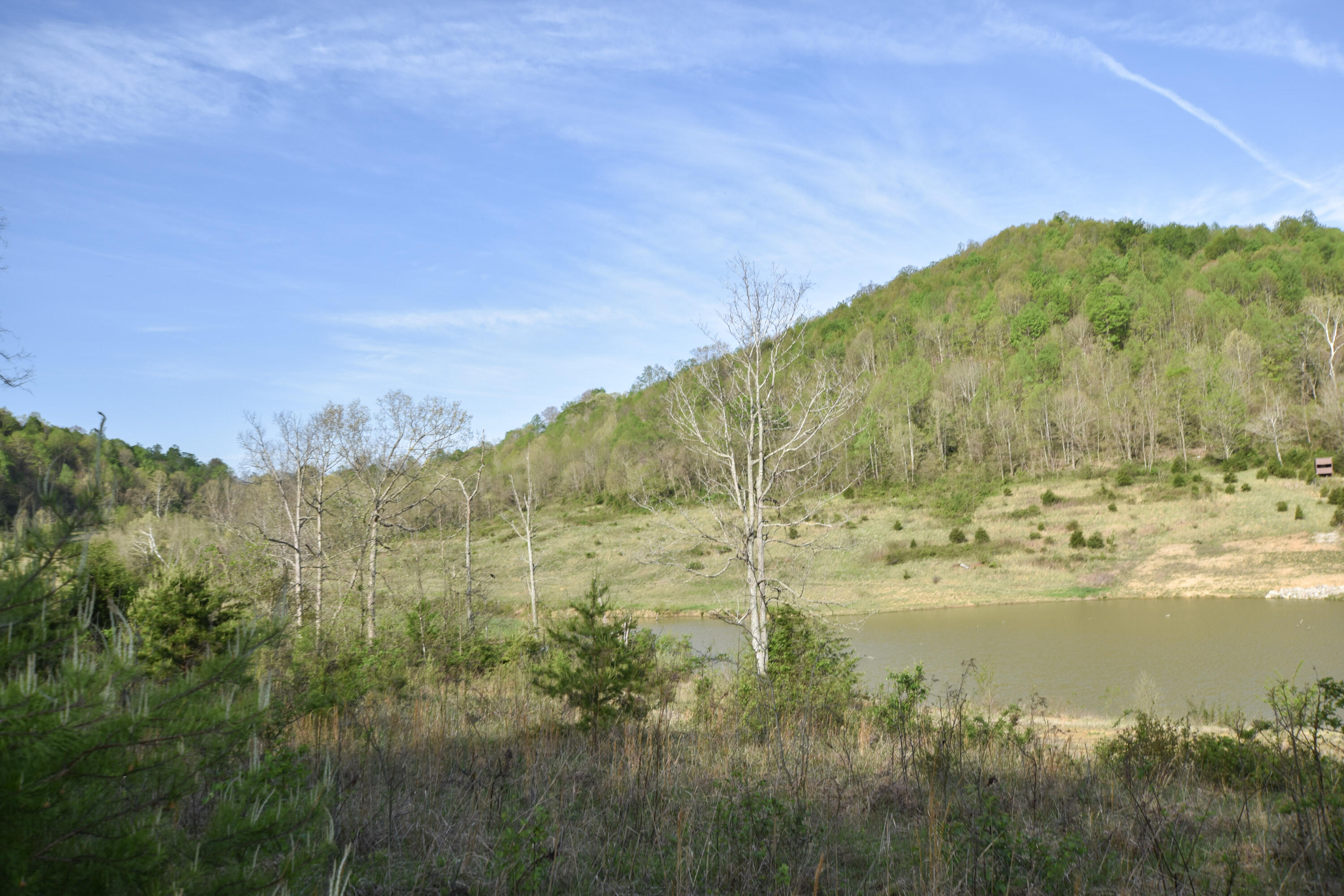 0 Pool Branch Property Photo 40
