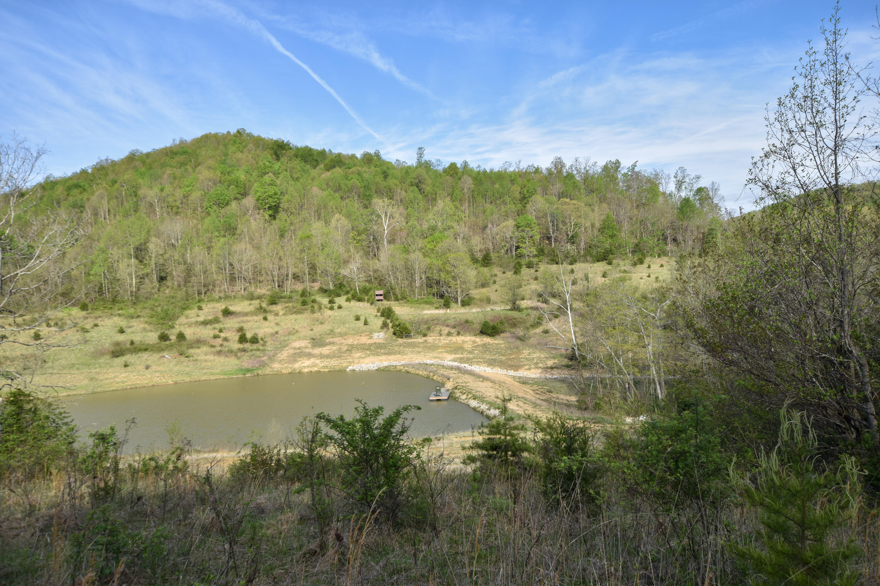 0 Pool Branch Property Photo 41