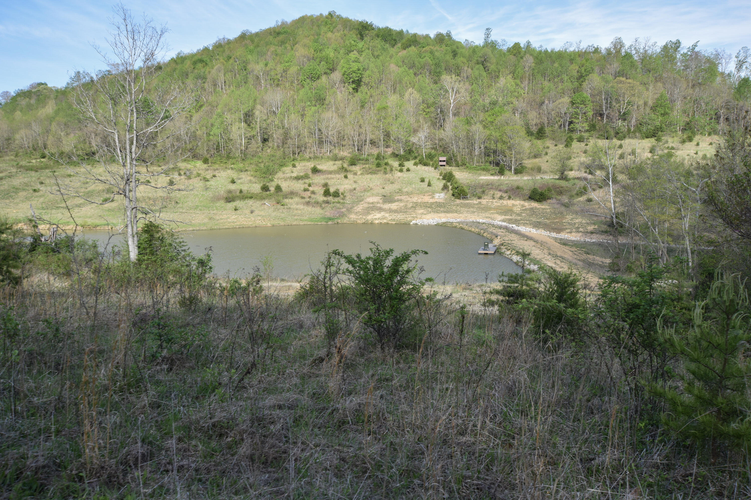 0 Pool Branch Property Photo 42