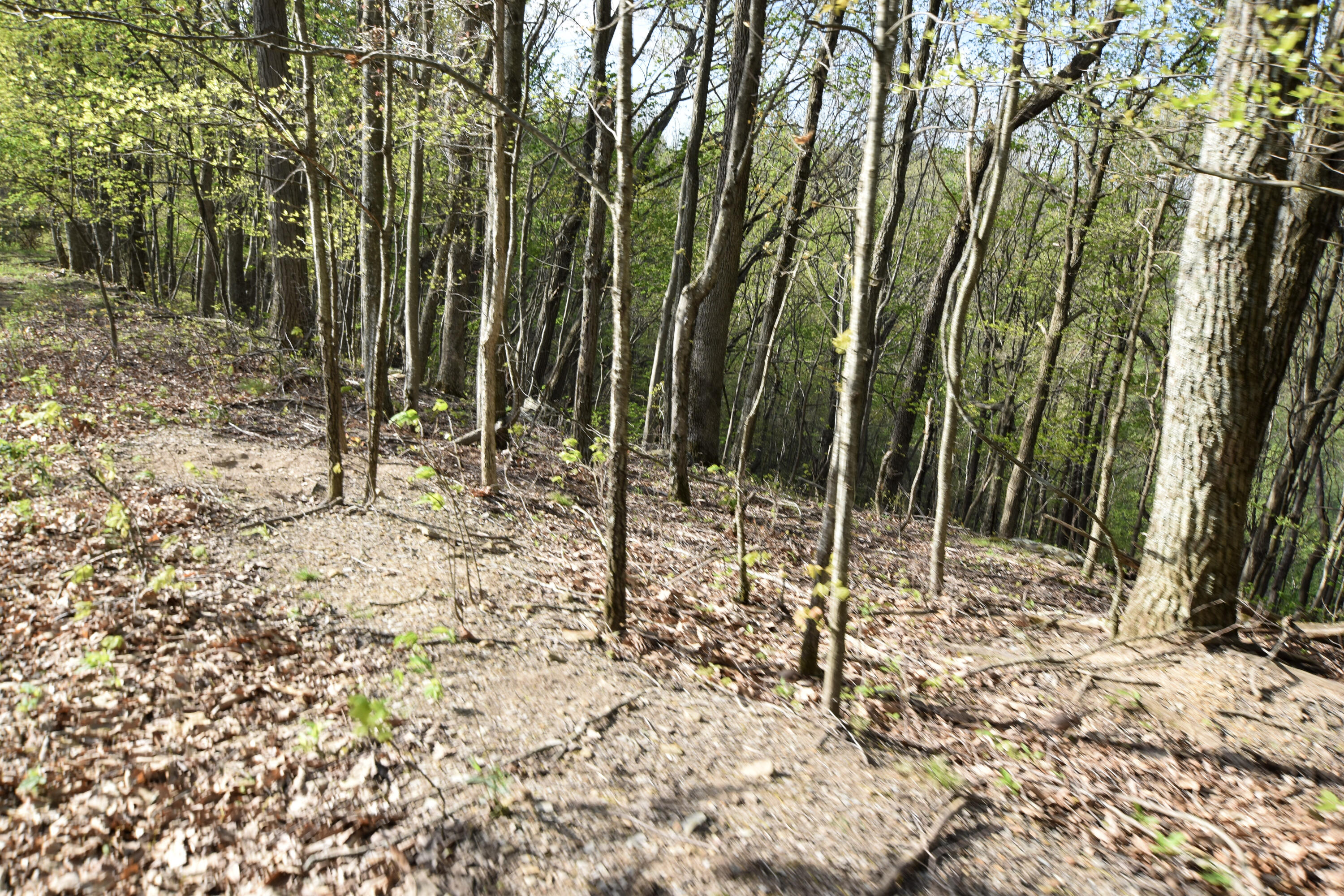 0 Pool Branch Property Photo 45