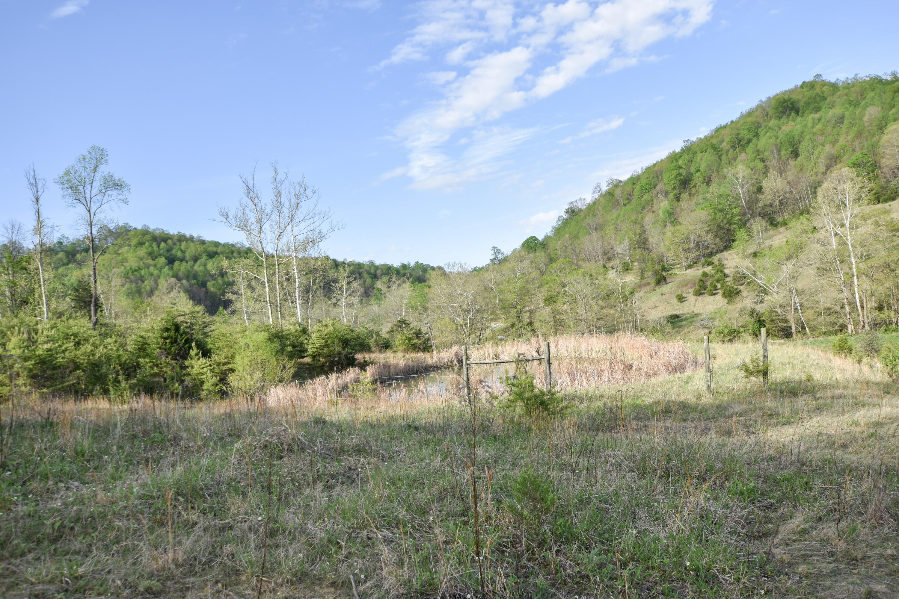 0 Pool Branch Property Photo 61
