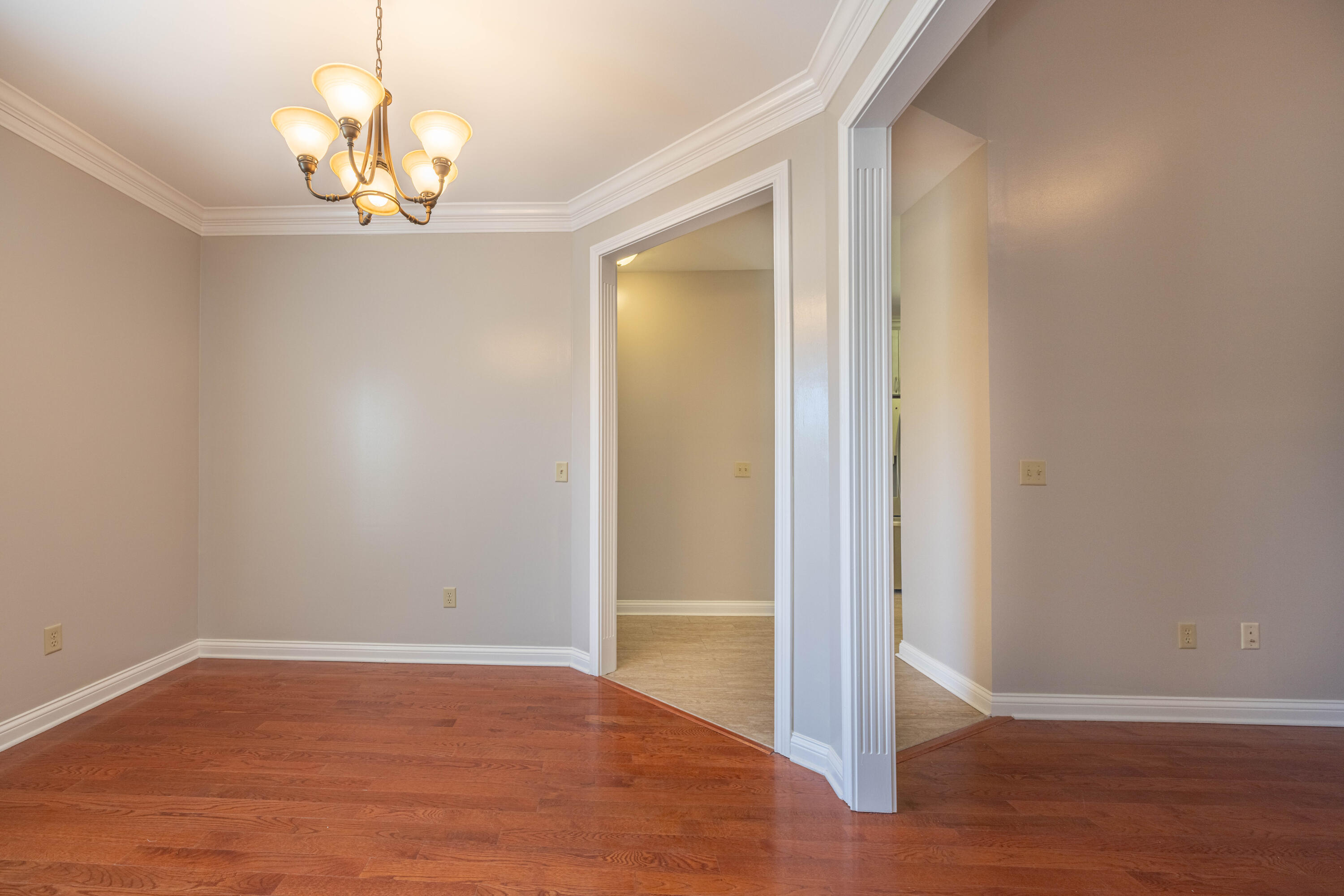 111 Cedar Stream Drive Property Photo 6