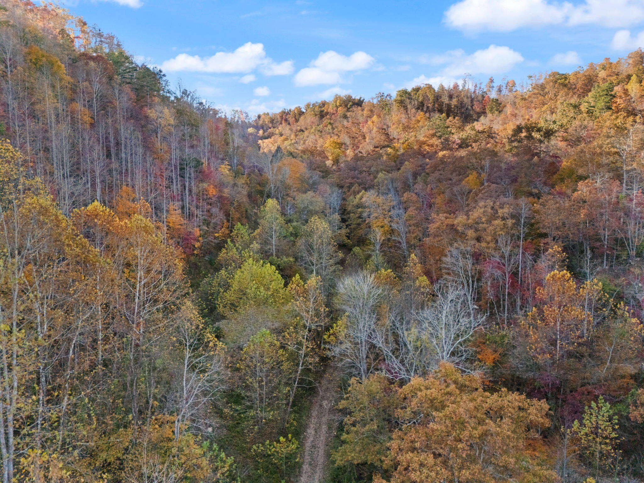 9999 S Ky-11 Property Photo 3