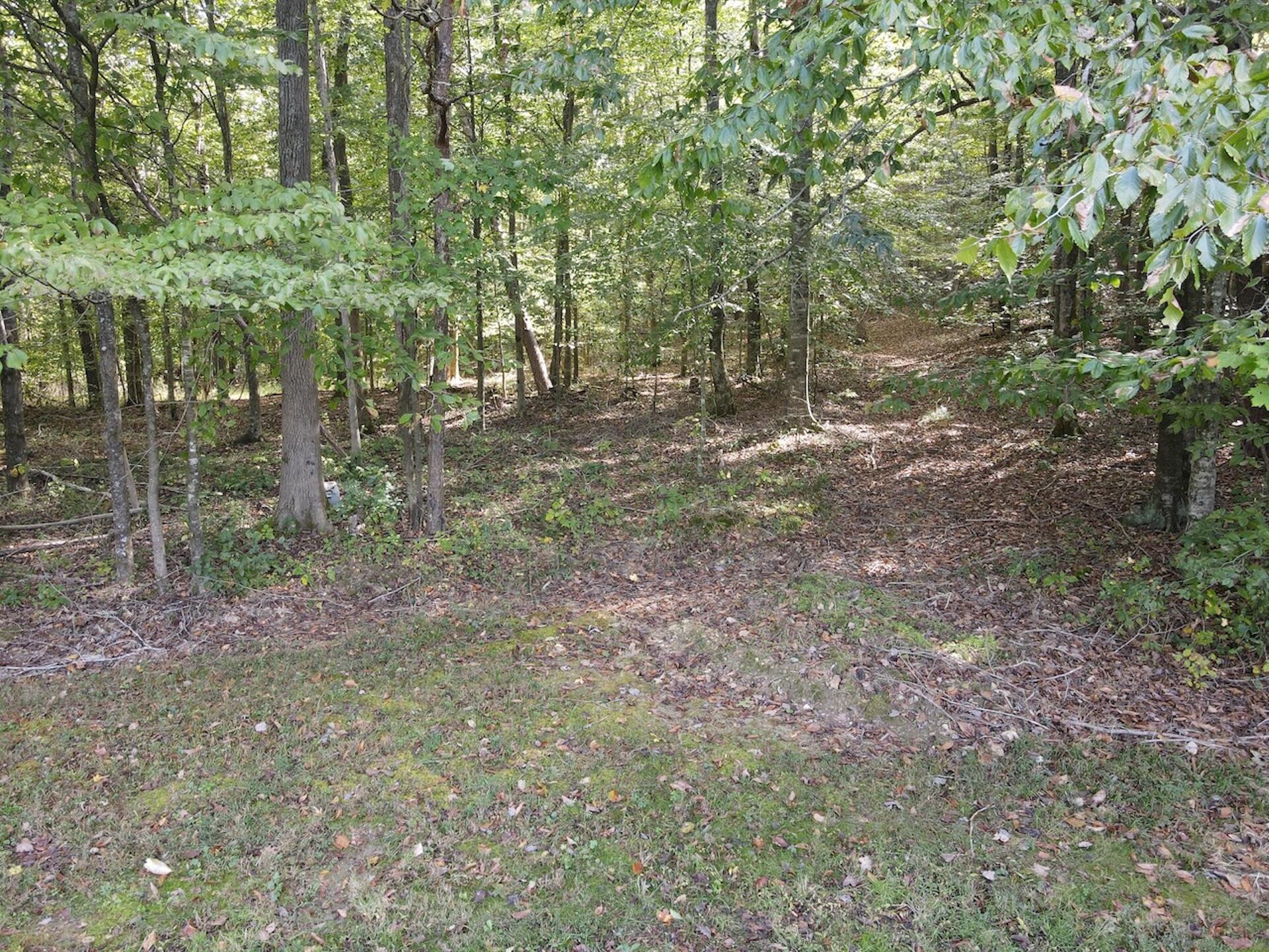 2748 Damron Creek Road Property Photo 30