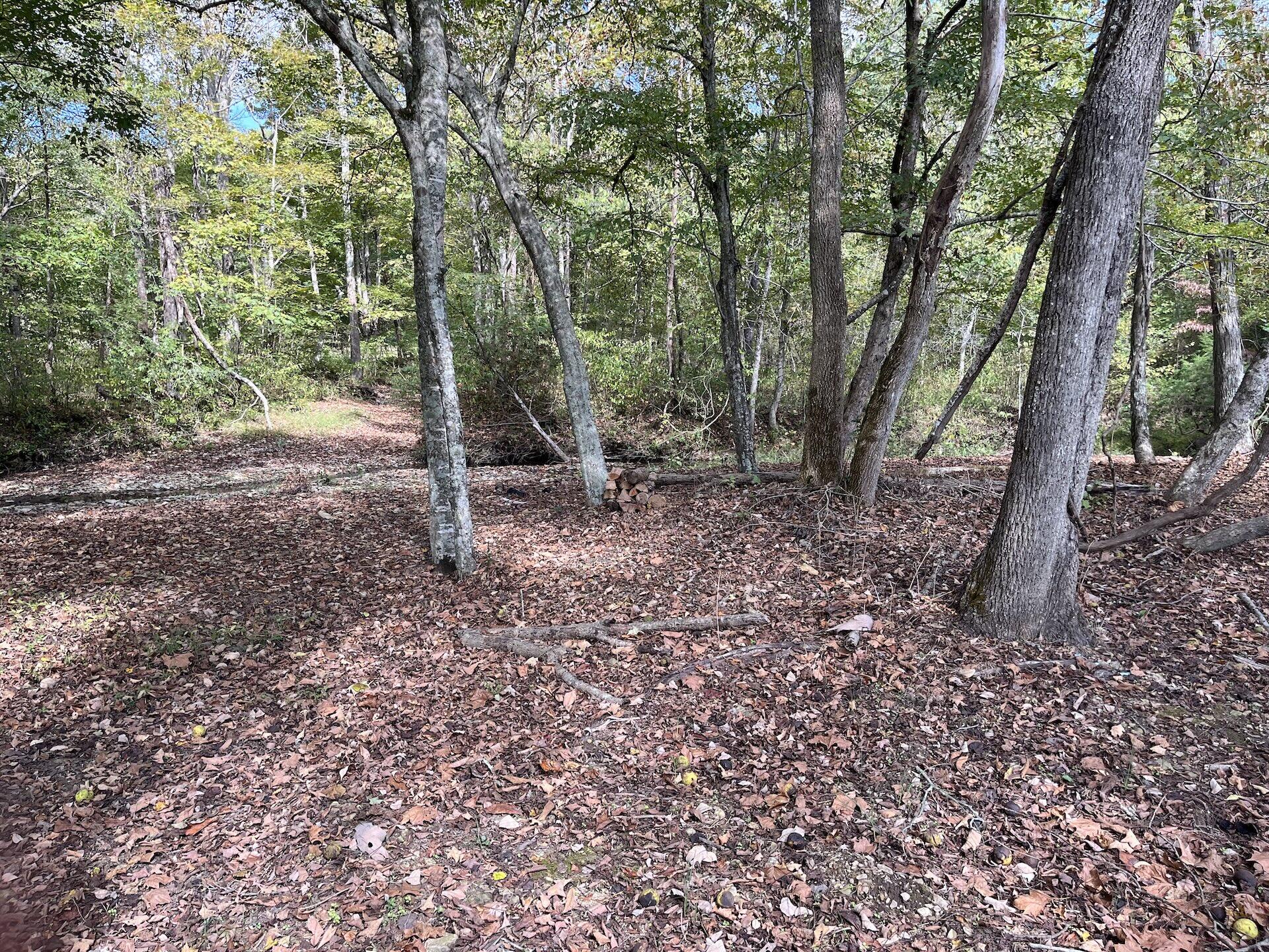 2748 Damron Creek Road Property Photo 31