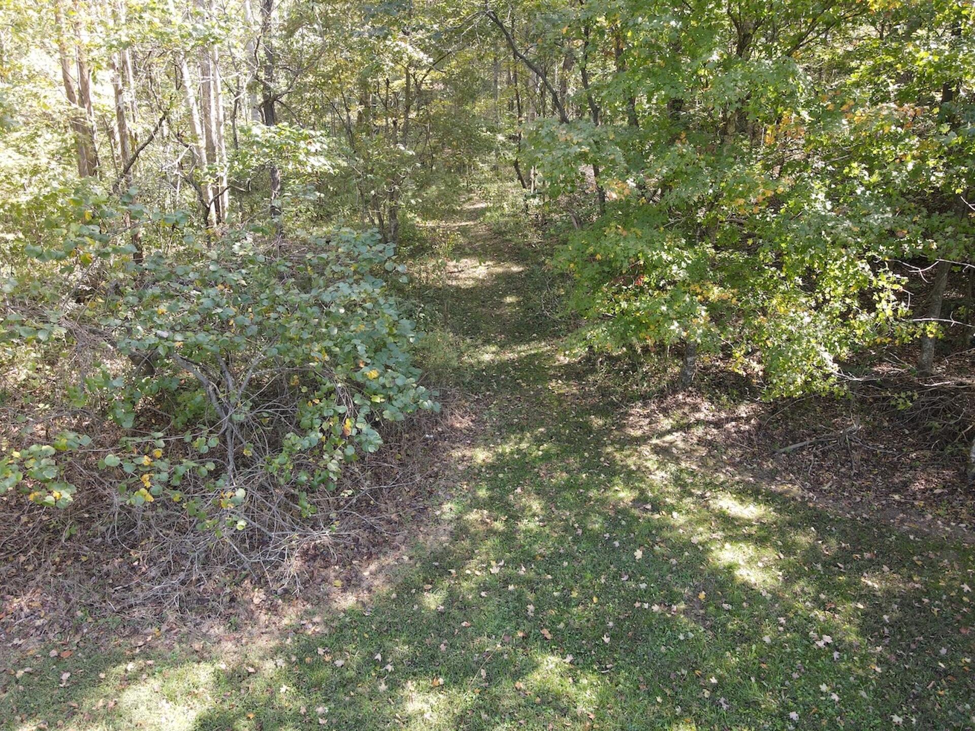 2748 Damron Creek Road Property Photo 32