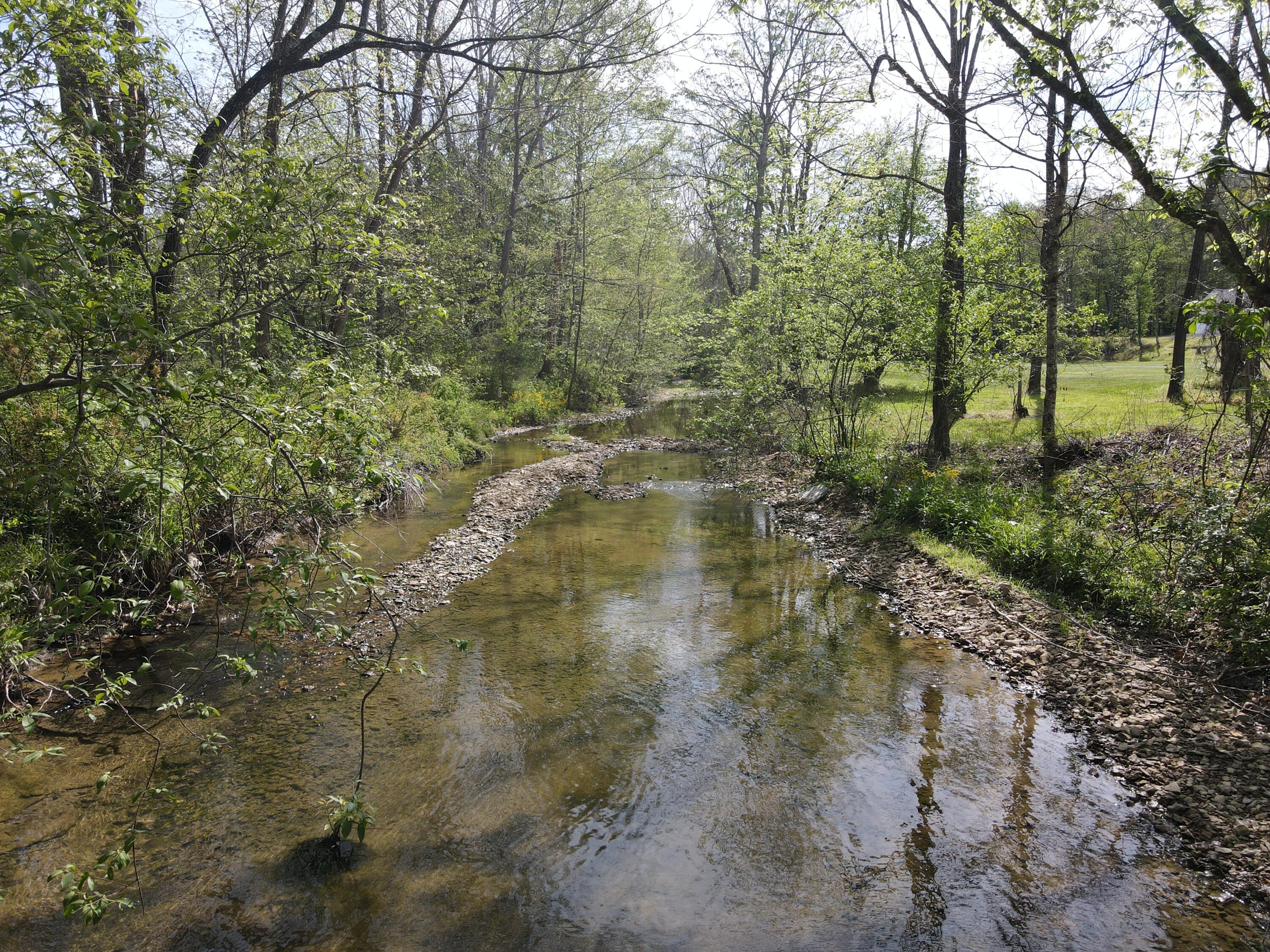 2748 Damron Creek Road Property Photo 34