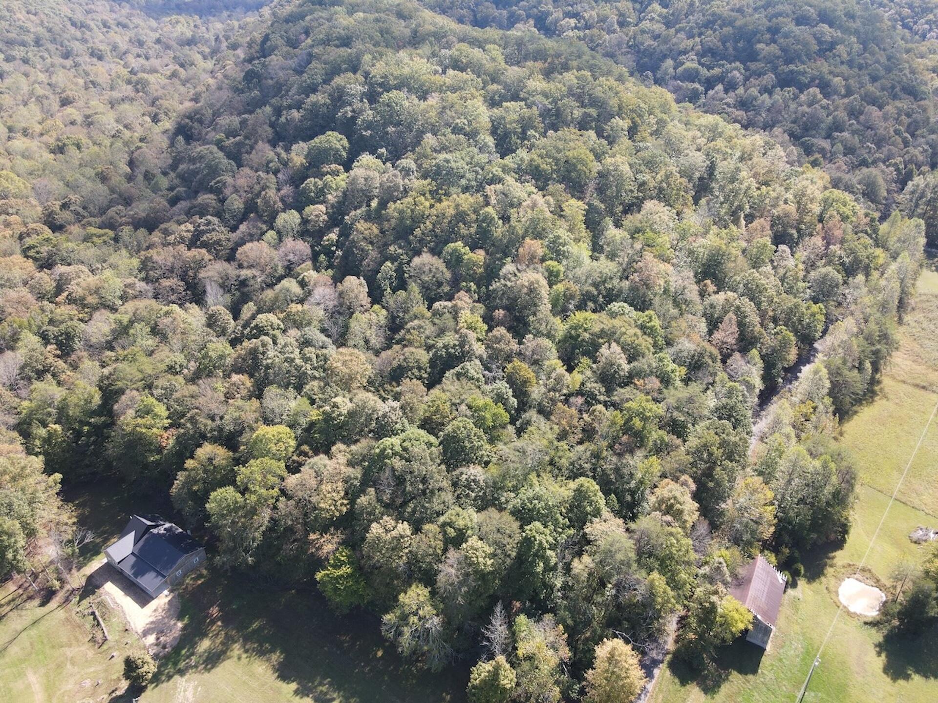 2748 Damron Creek Road Property Photo 38