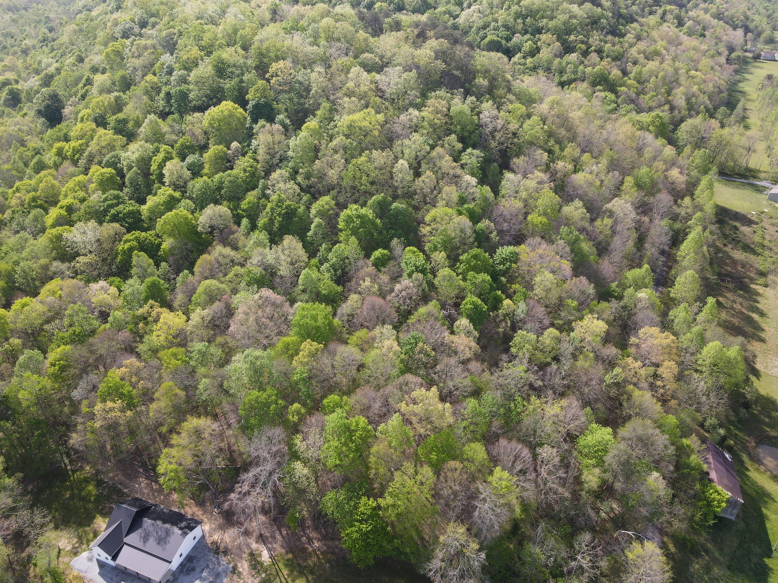 2748 Damron Creek Road Property Photo 40