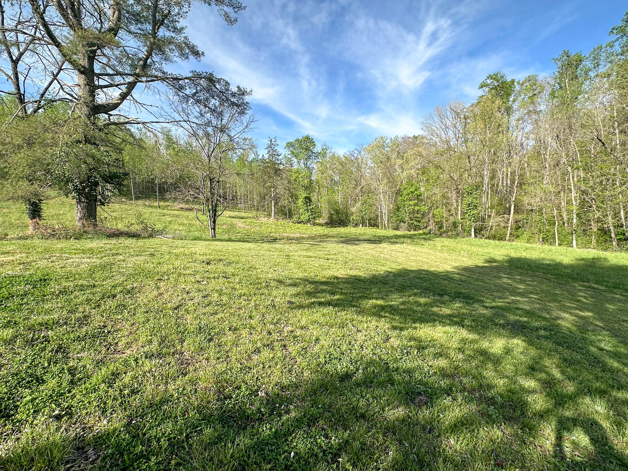 101 Irvin Phelps Road Property Photo 4