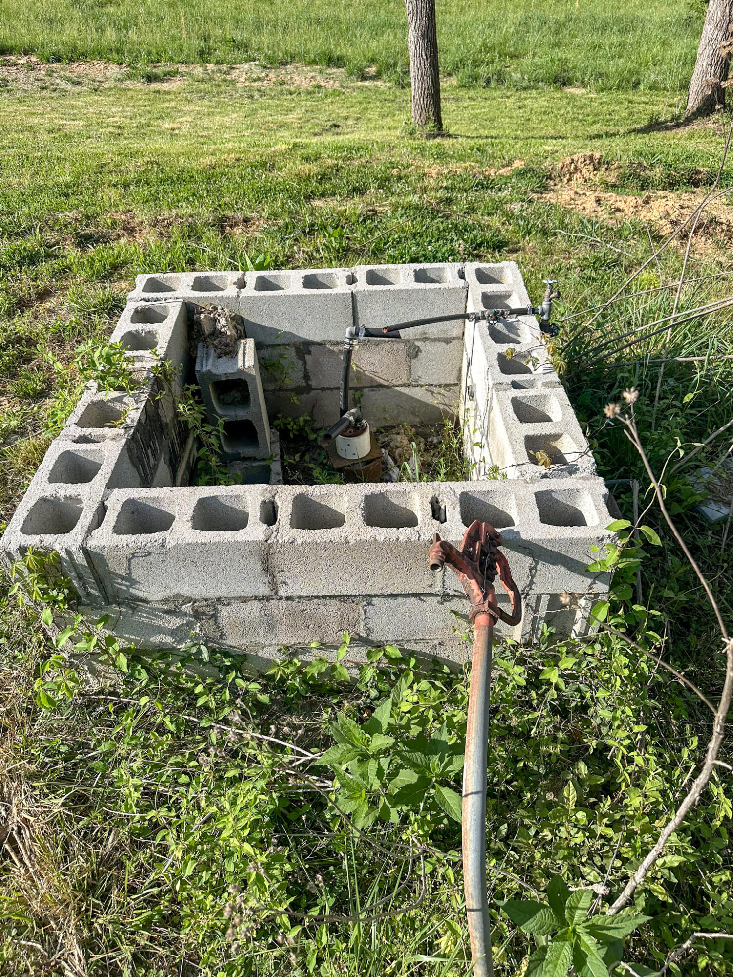 101 Irvin Phelps Road Property Photo 10
