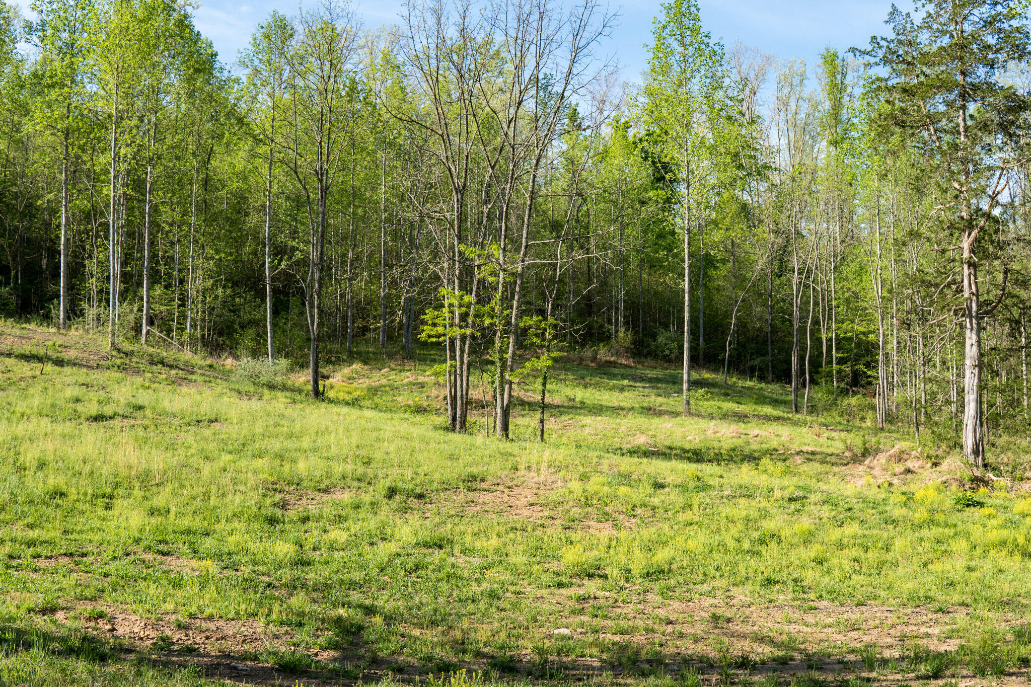 101 Irvin Phelps Road Property Photo 18