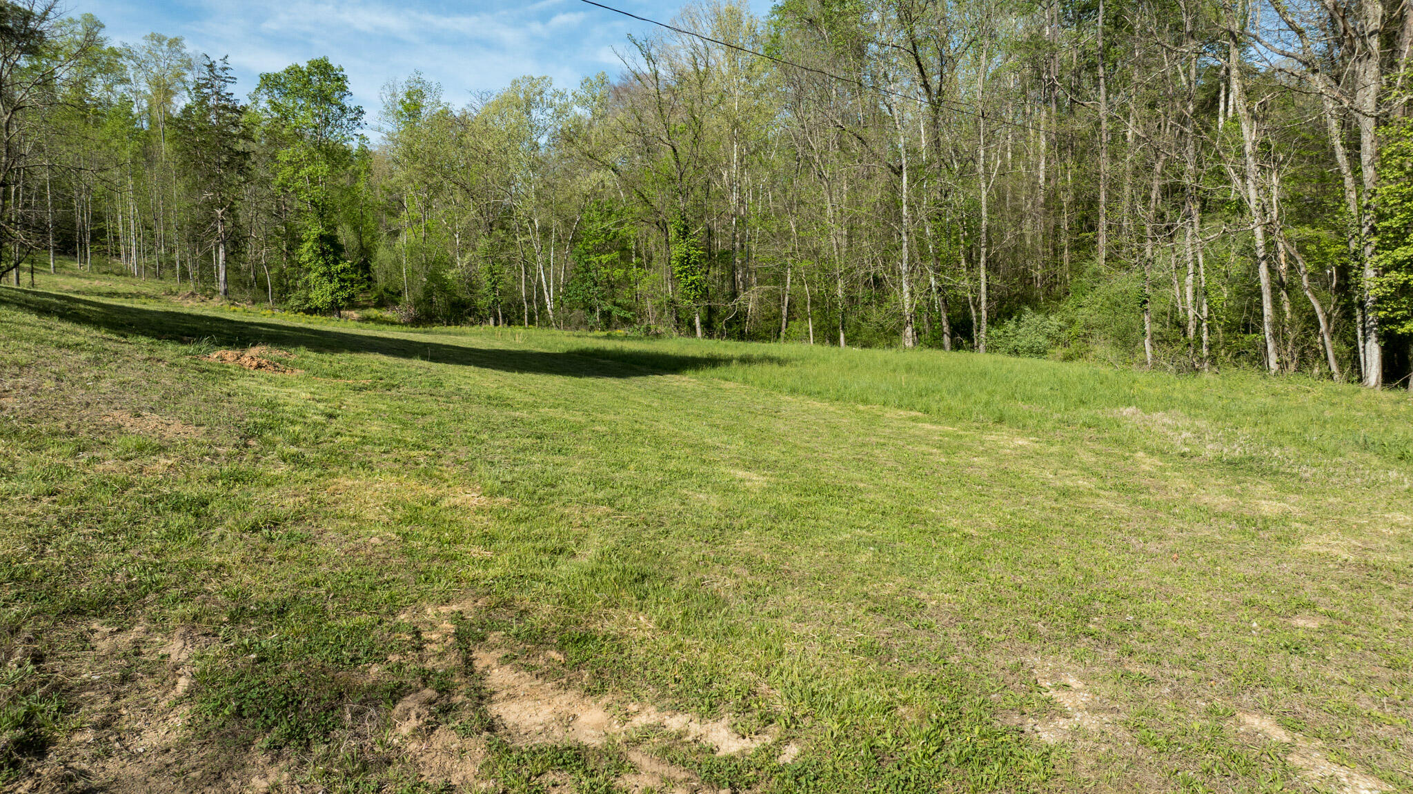 101 Irvin Phelps Road Property Photo 20