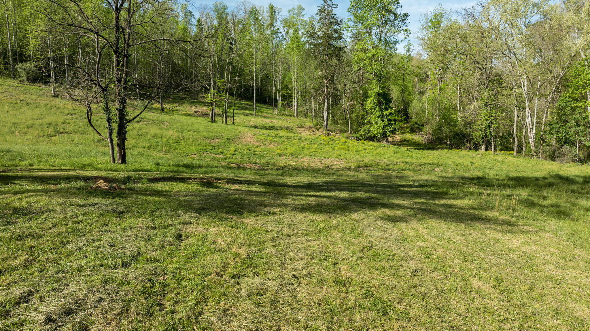 101 Irvin Phelps Road Property Photo 29