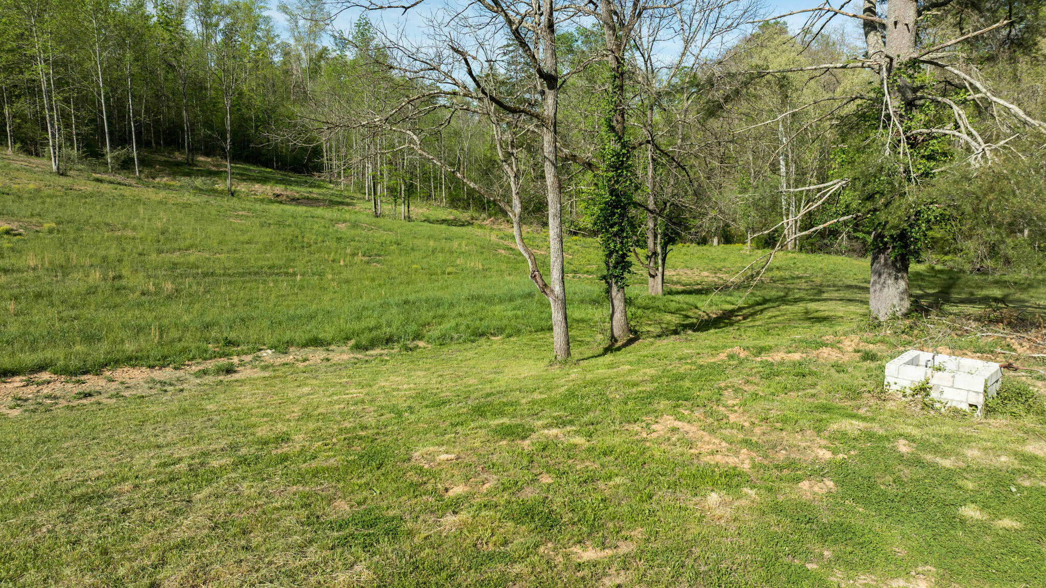 101 Irvin Phelps Road Property Photo 31