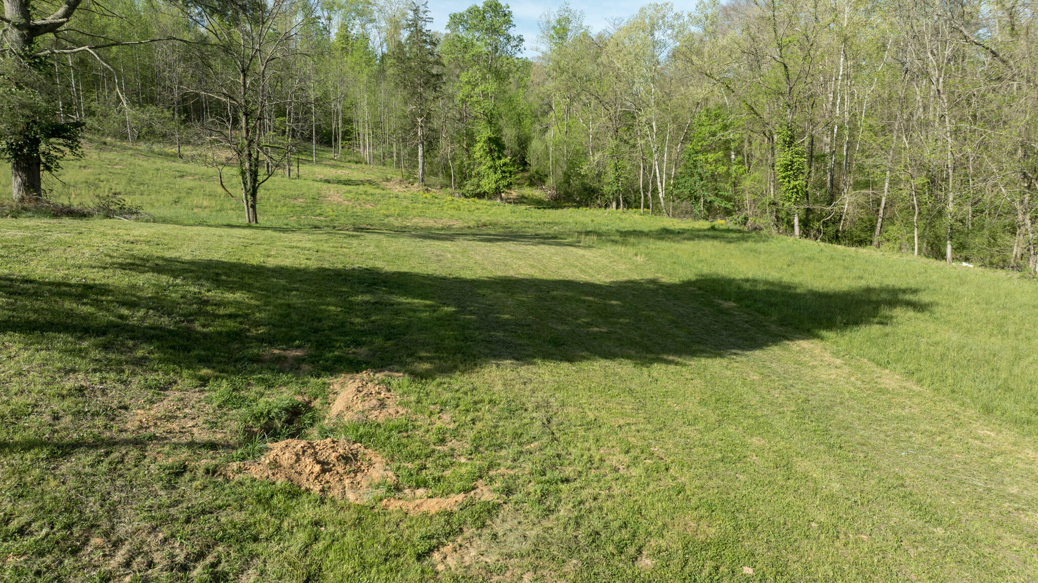 101 Irvin Phelps Road Property Photo 38