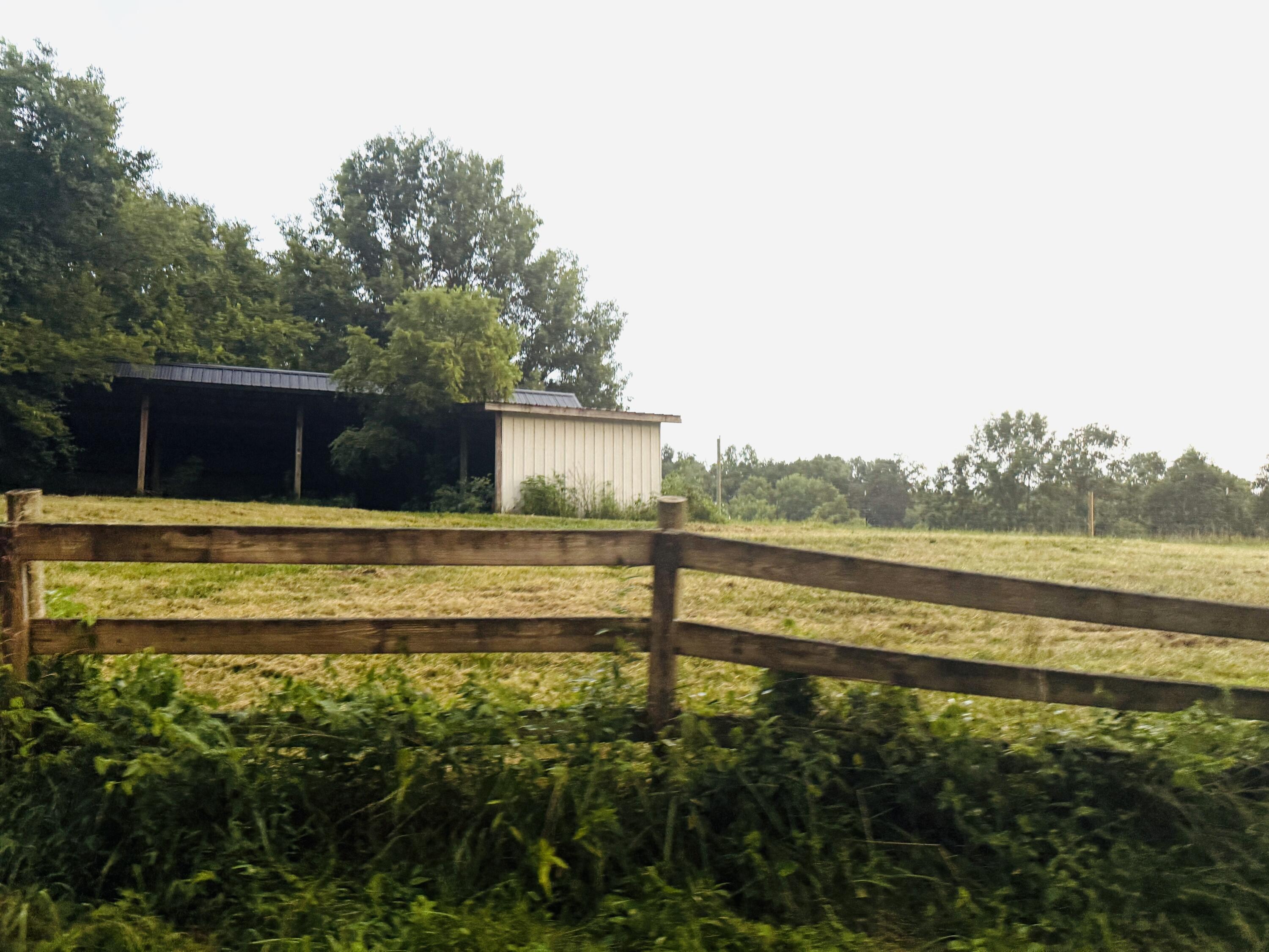 1232 Pleasant Grove Ridge Road Property Photo 20