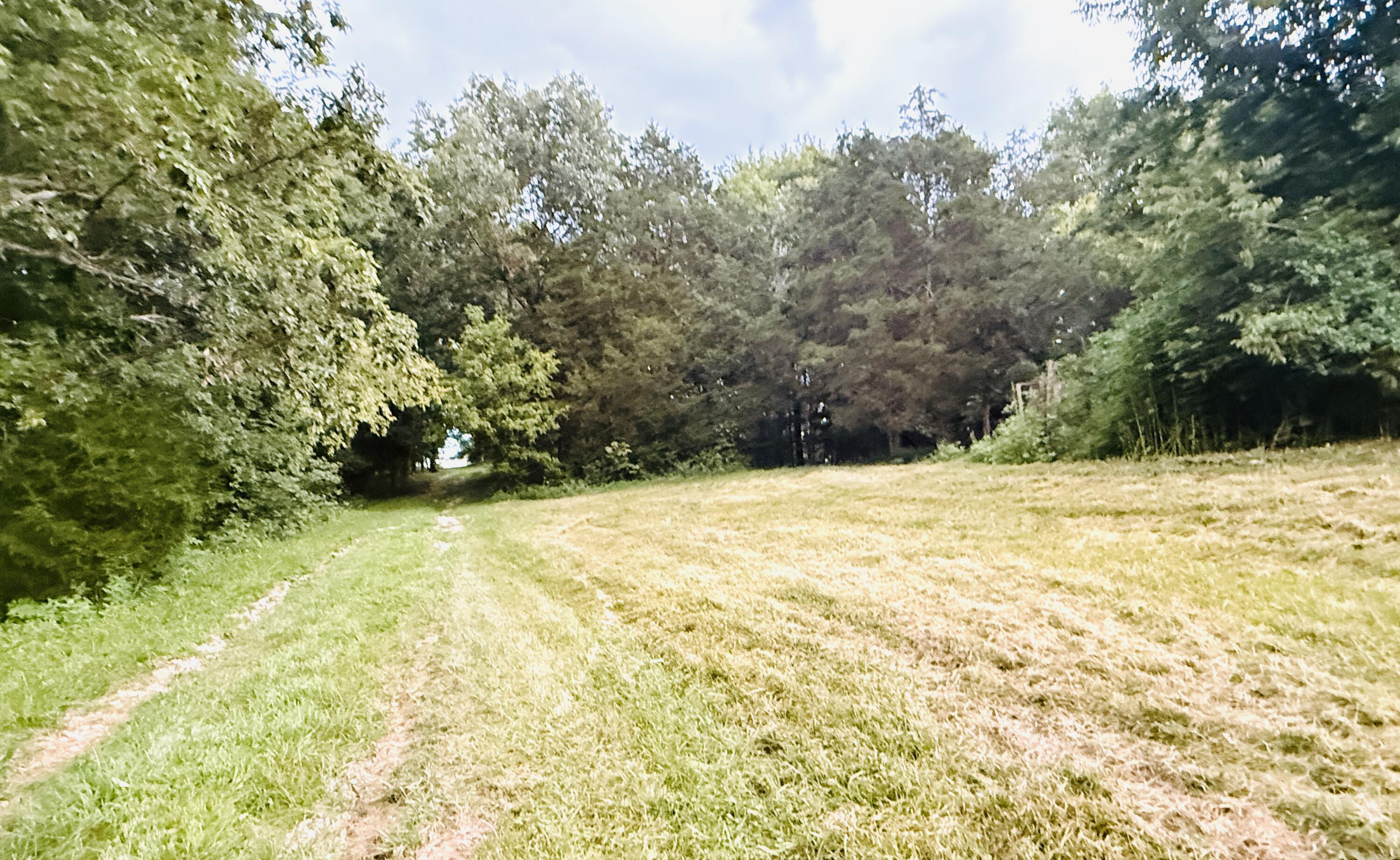 1232 Pleasant Grove Ridge Road Property Photo 73