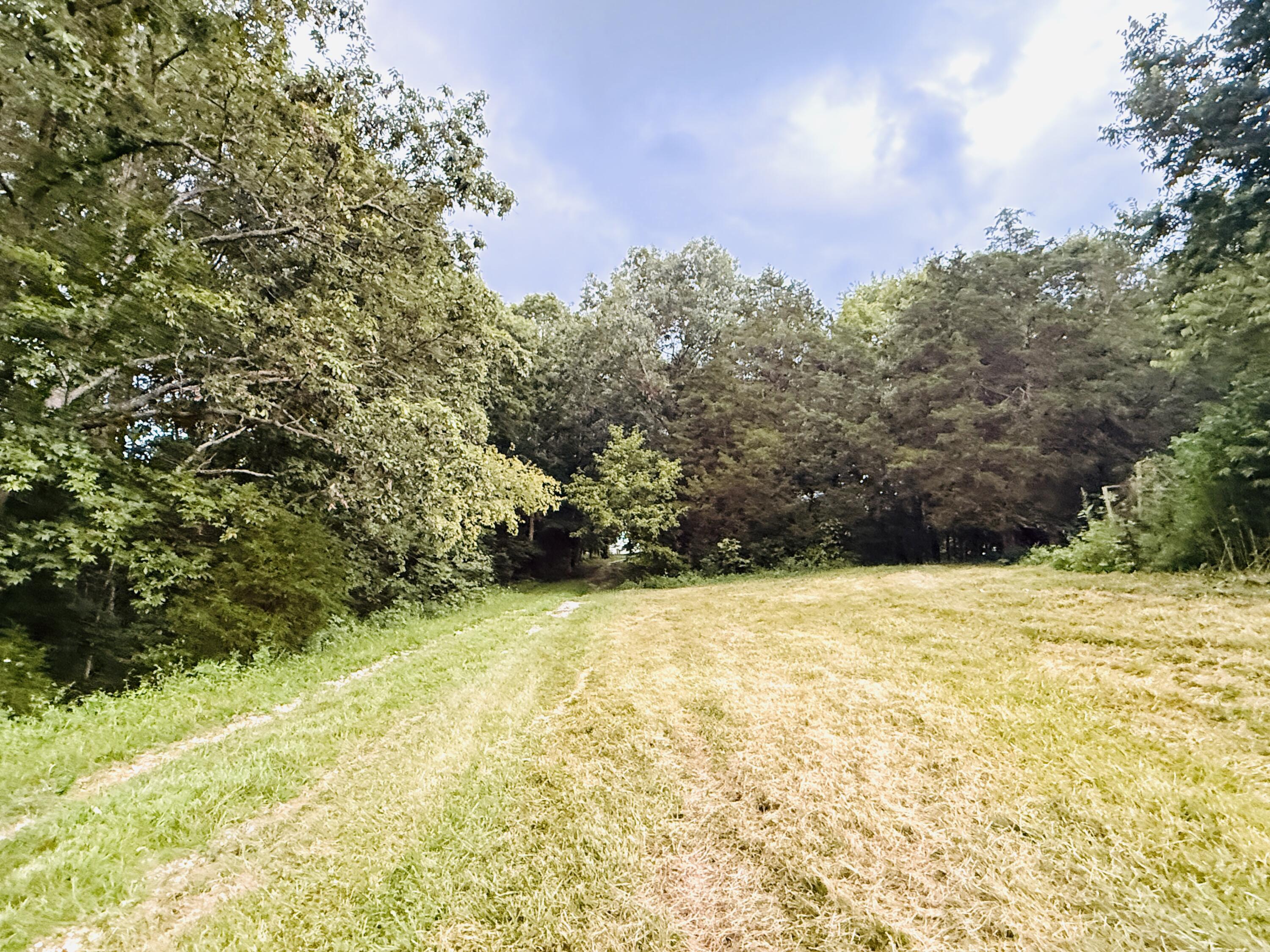 1232 Pleasant Grove Ridge Road Property Photo 74
