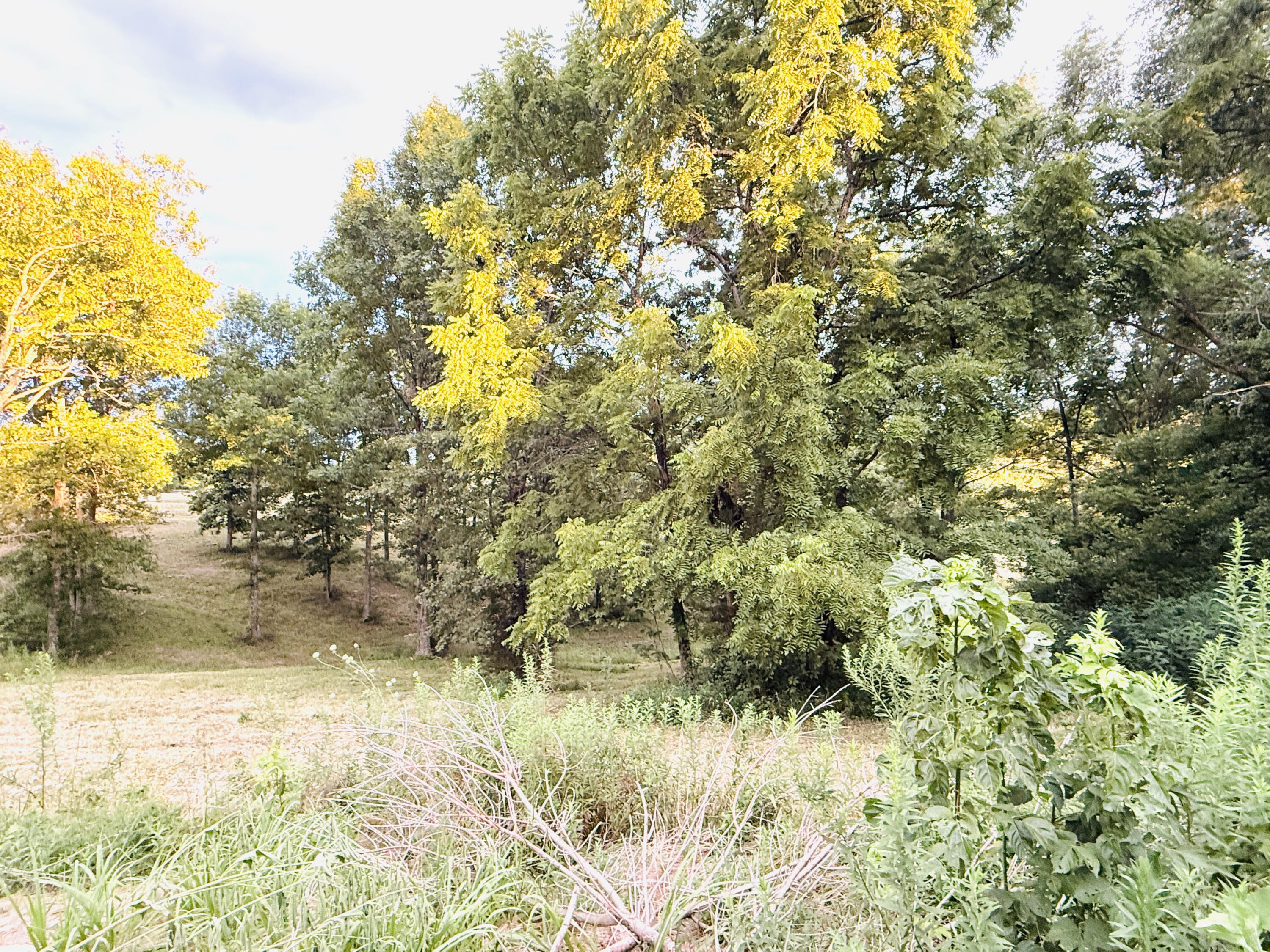 1232 Pleasant Grove Ridge Road Property Photo 77