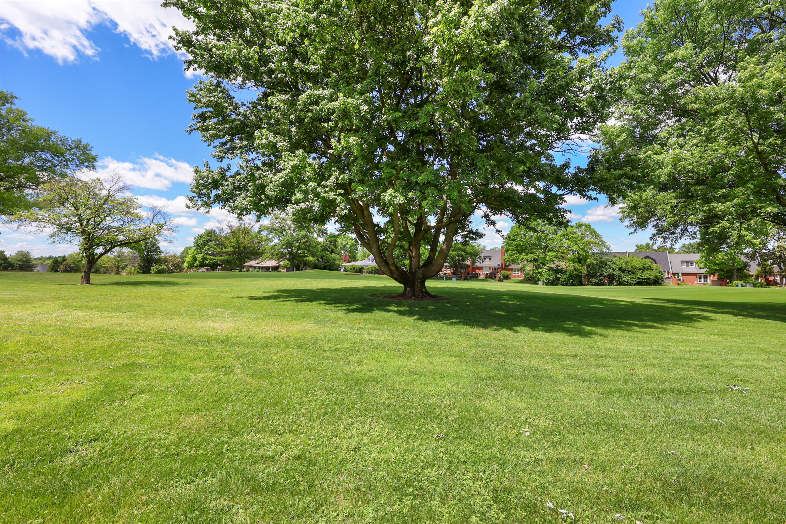 238 Duntreath Street Property Photo 63
