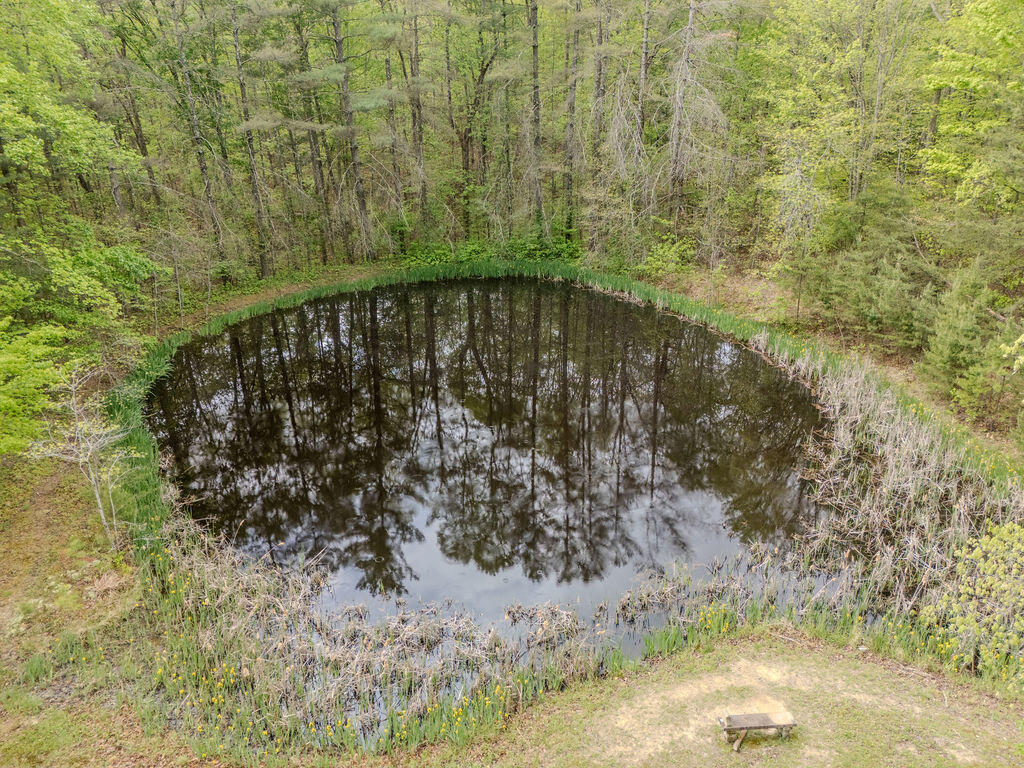2385 Ky Hwy 801 Property Photo 53